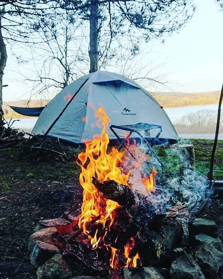 gray tent, lake, bare trees, SD Phone Wallpaper