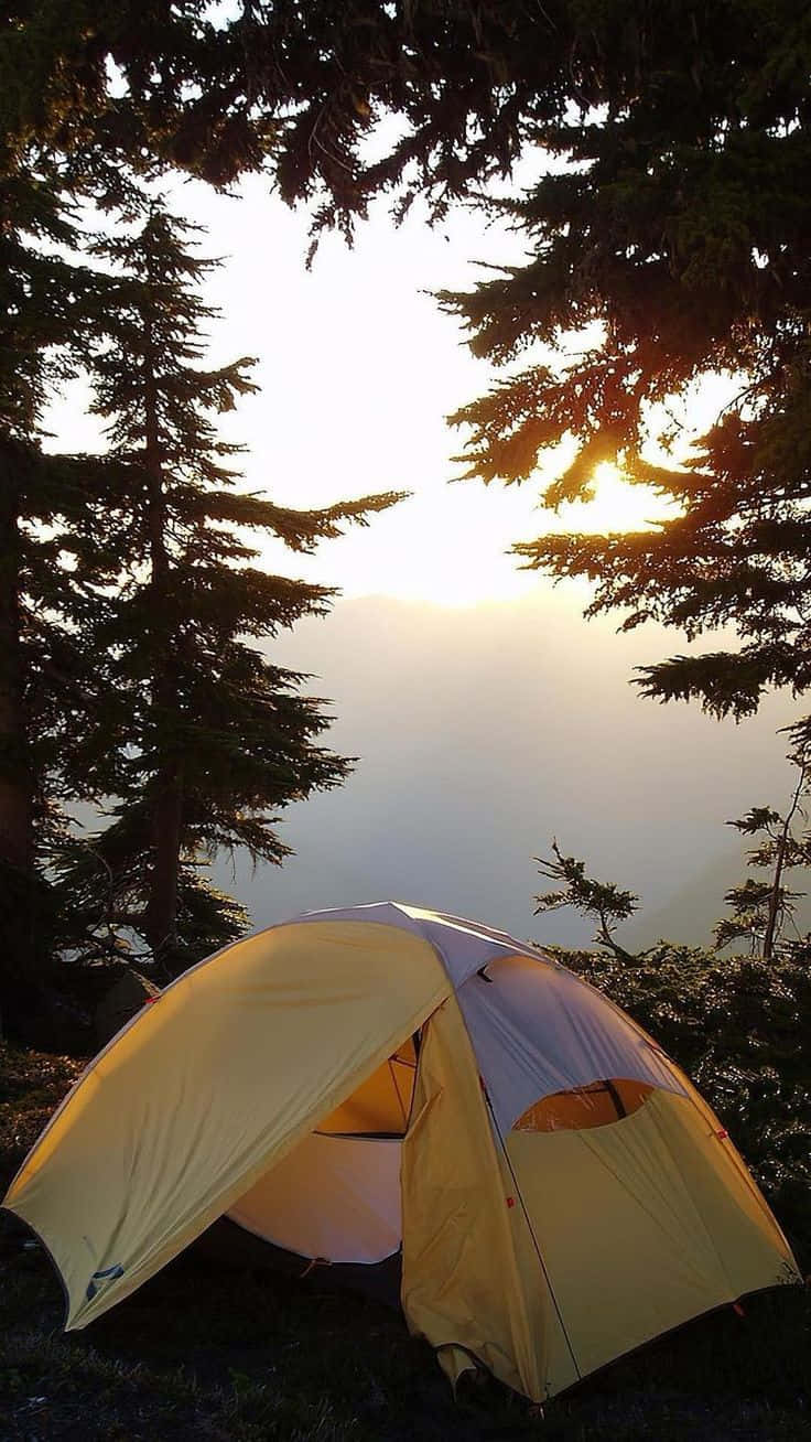 yellow tent, sunrise, dark pine trees, HD Phone Wallpaper