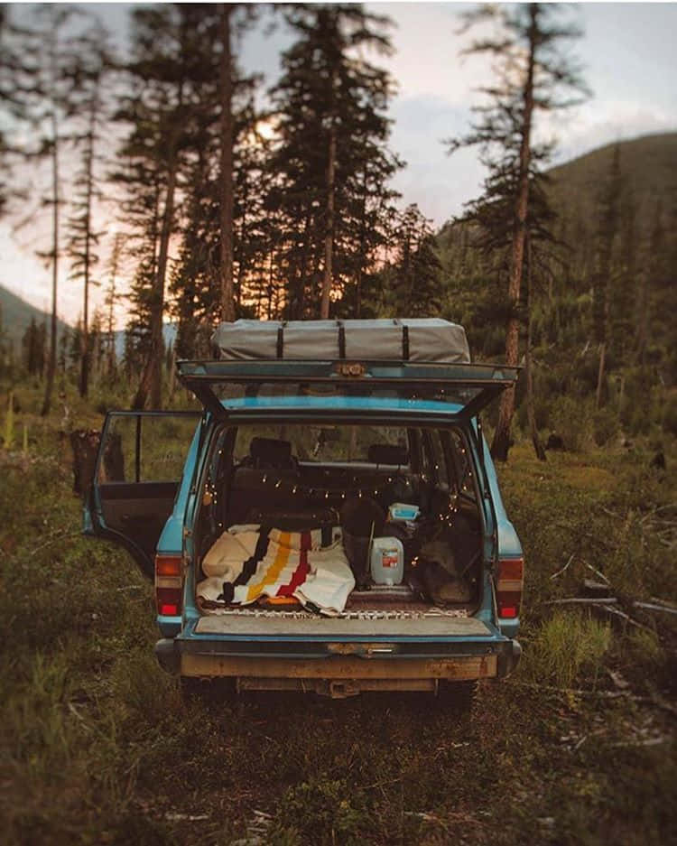 vintage blue station wagon, forest at sunset, trunk open, SD Phone Wallpaper