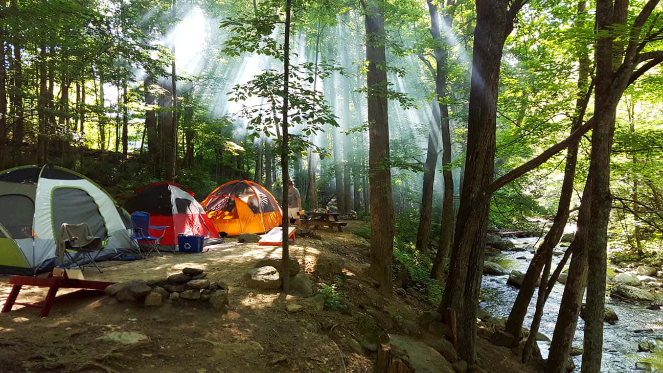 fall camping, dense forest canopy, colorful camping tents, HD Desktop Wallpaper