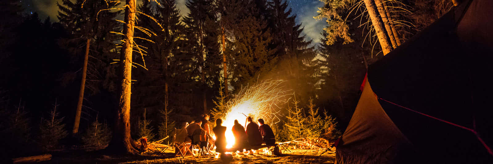 cozy campsite, autumn foliage, roaring campfire, HD Desktop Wallpaper