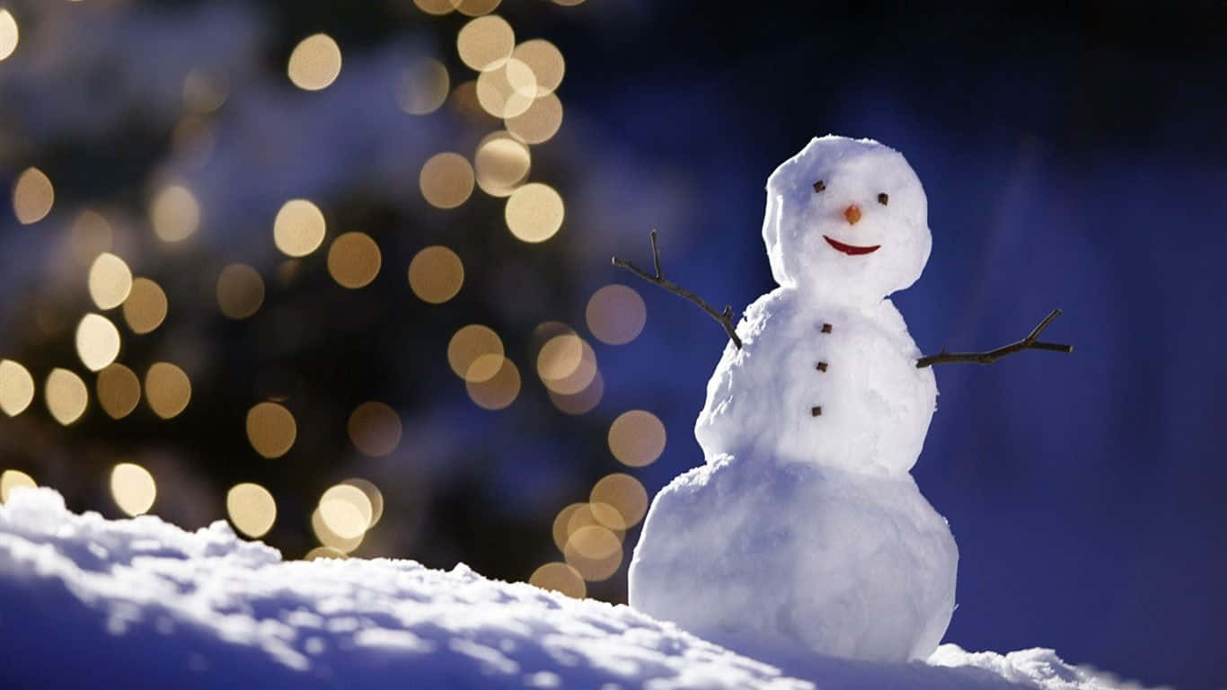 snowman, twig arms, carrot nose, HD Desktop Wallpaper
