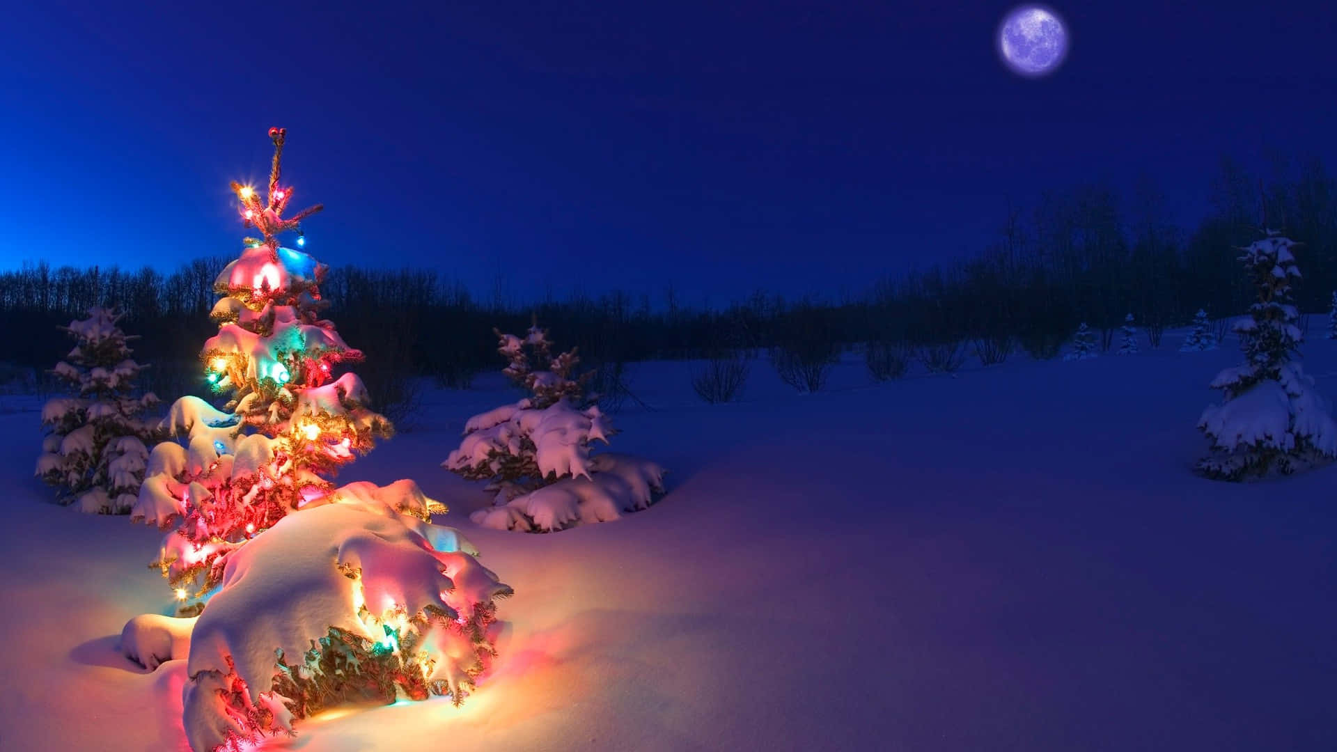 Winter Colorful Christmas Tree Desktop, snow-covered Christmas tree, colorful lights, Full HD Desktop Wallpaper