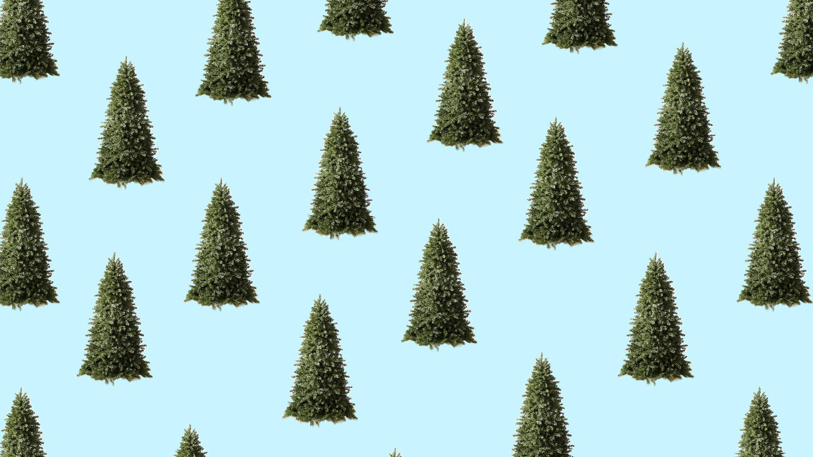Minimalist Christmas Tree Collage, pine trees, soft pastel blue background, HD Desktop Wallpaper