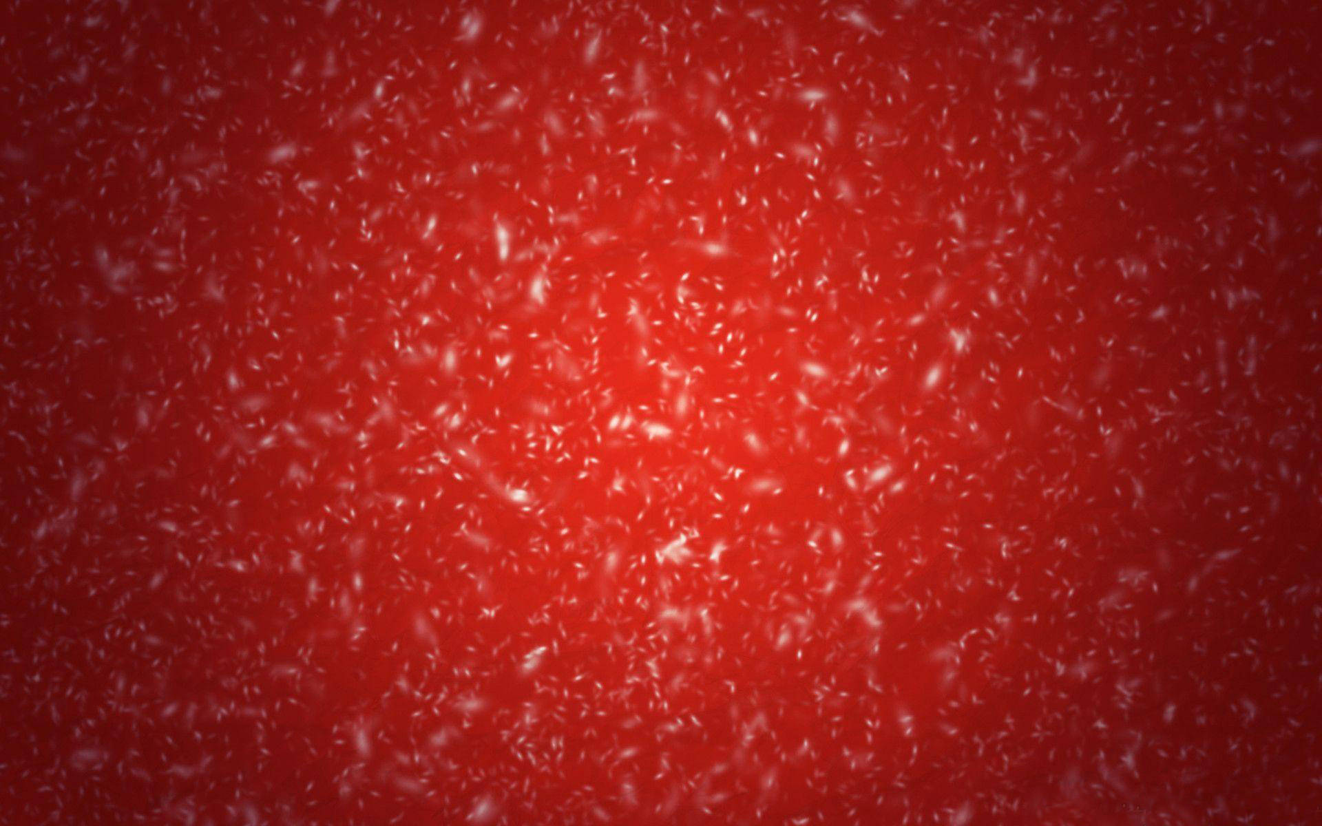 minimalist feathery christmas background, white particles, deep red gradient, Full HD Desktop Wallpaper