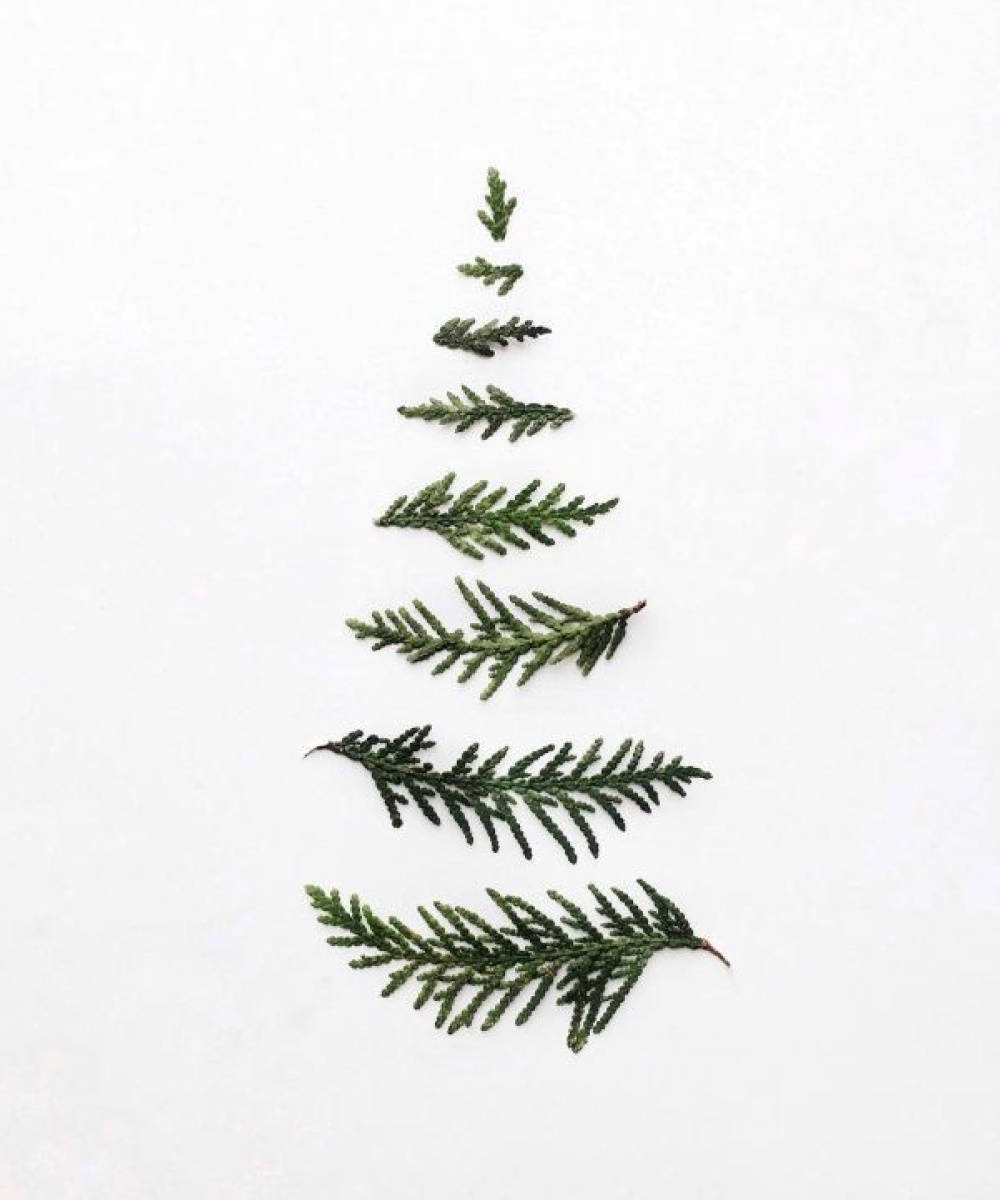 Minimalist Christmas, evergreen sprigs, minimalist Christmas tree shape, SD Phone Wallpaper