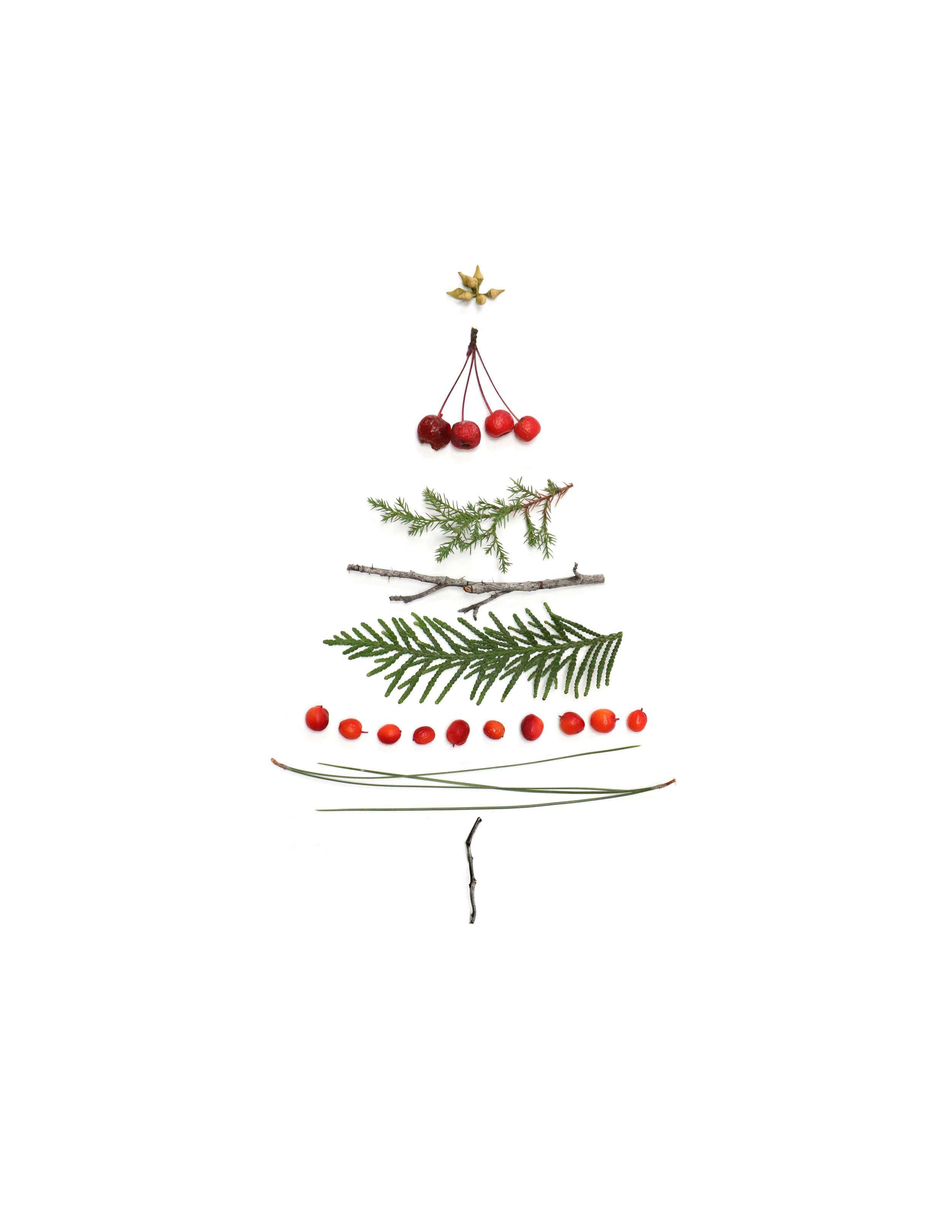 minimalist Christmas tree, red berries, pine needles, 2K Phone Wallpaper