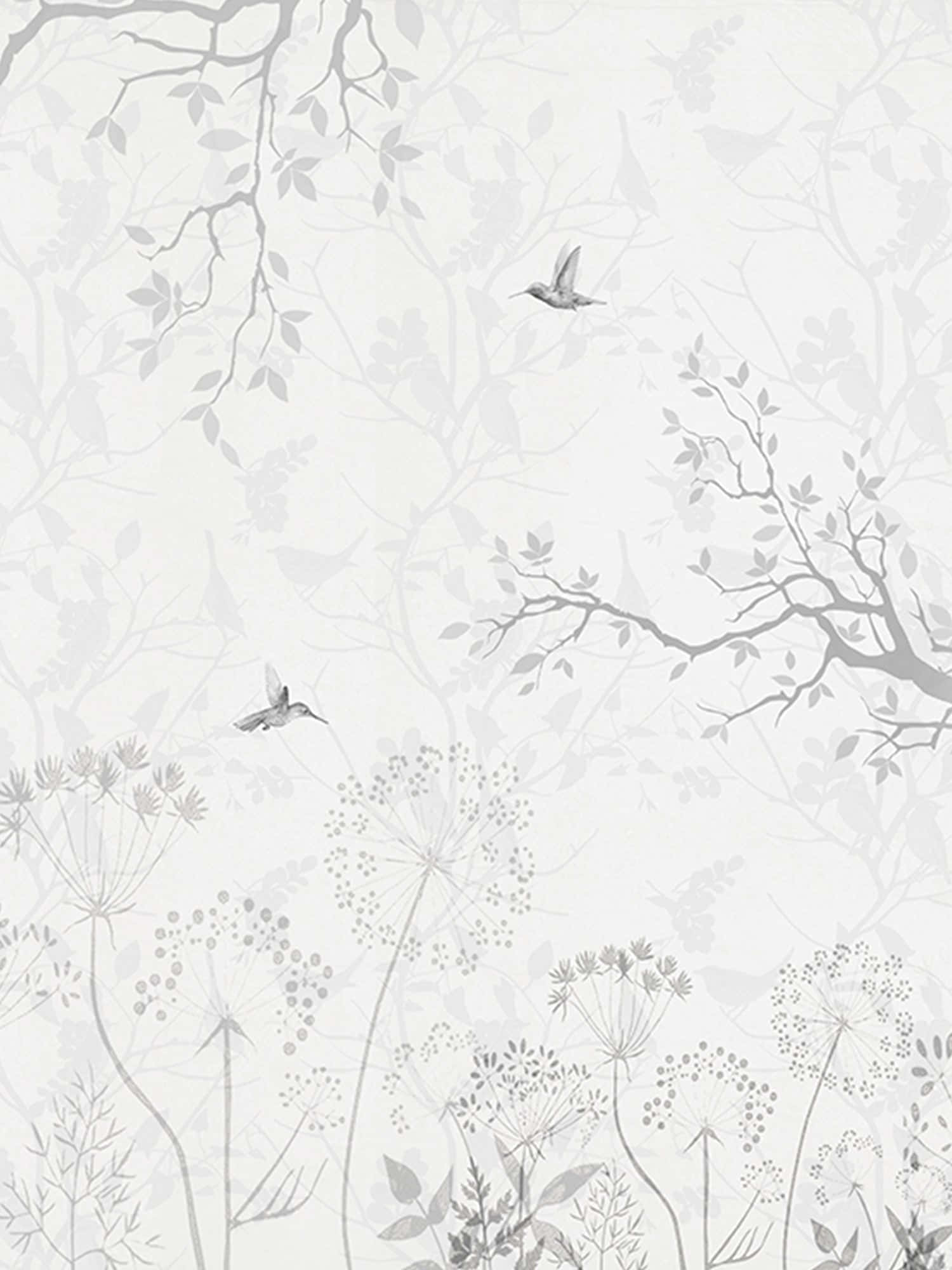 Perennial Minimalist Painting, gray botanical, hummingbirds, Full HD Phone Wallpaper