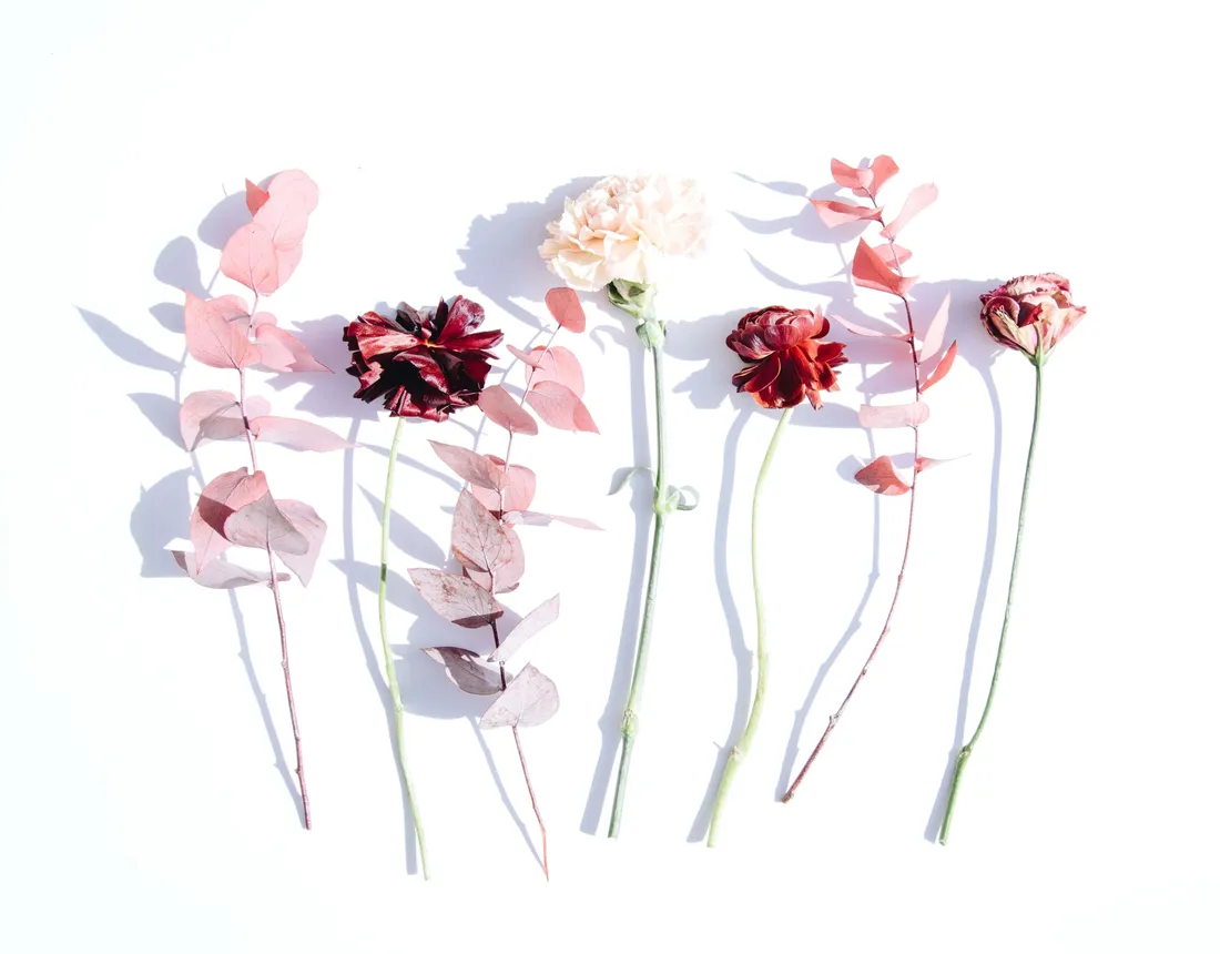 Minimalist Flower Aesthetic