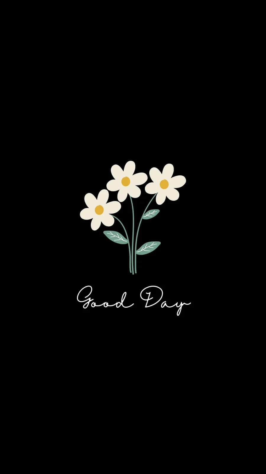 minimalist flowers, white daisies, yellow centers, HD Phone Wallpaper