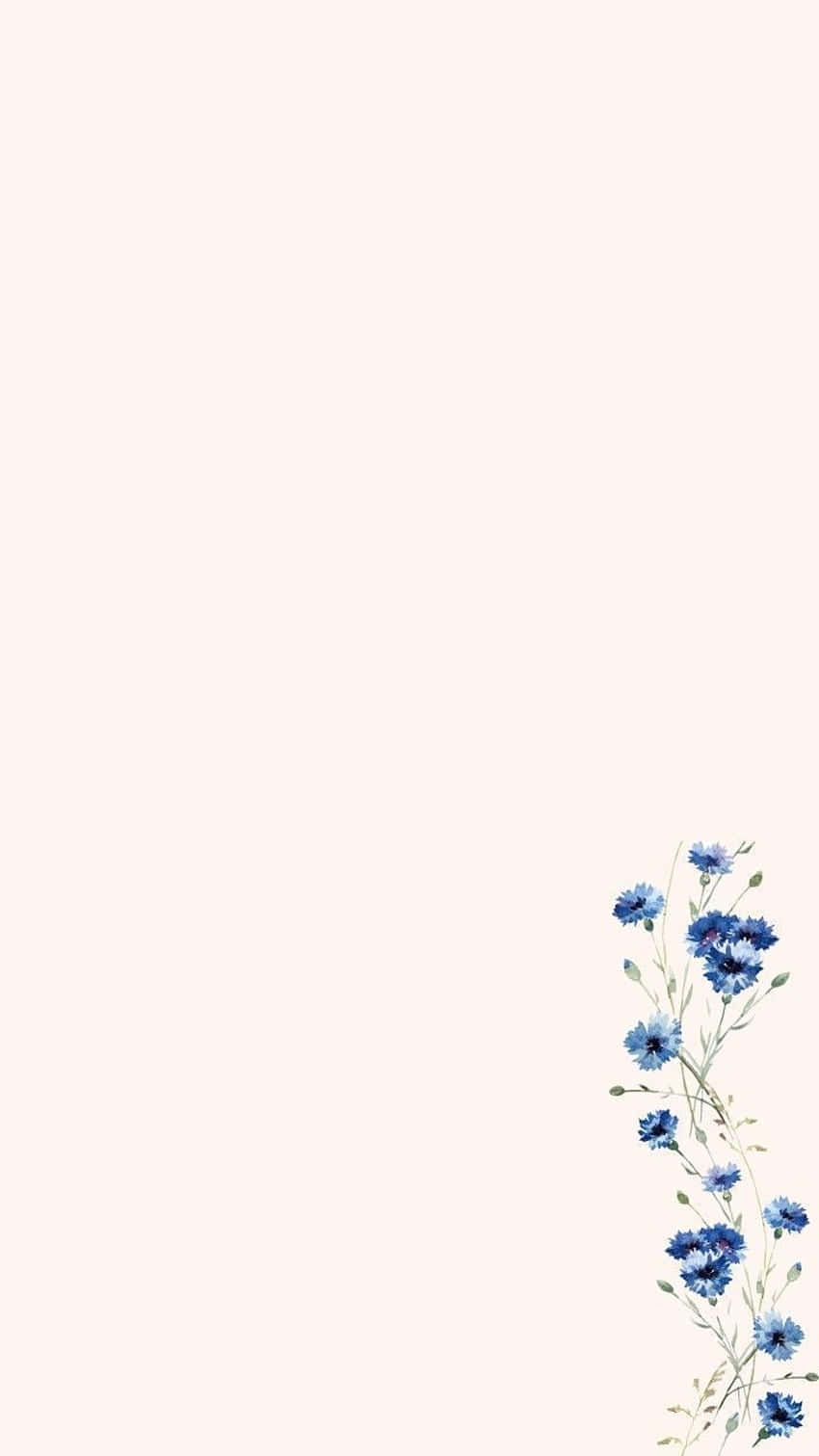 blue cornflowers, watercolor, soft beige background, HD Phone Wallpaper