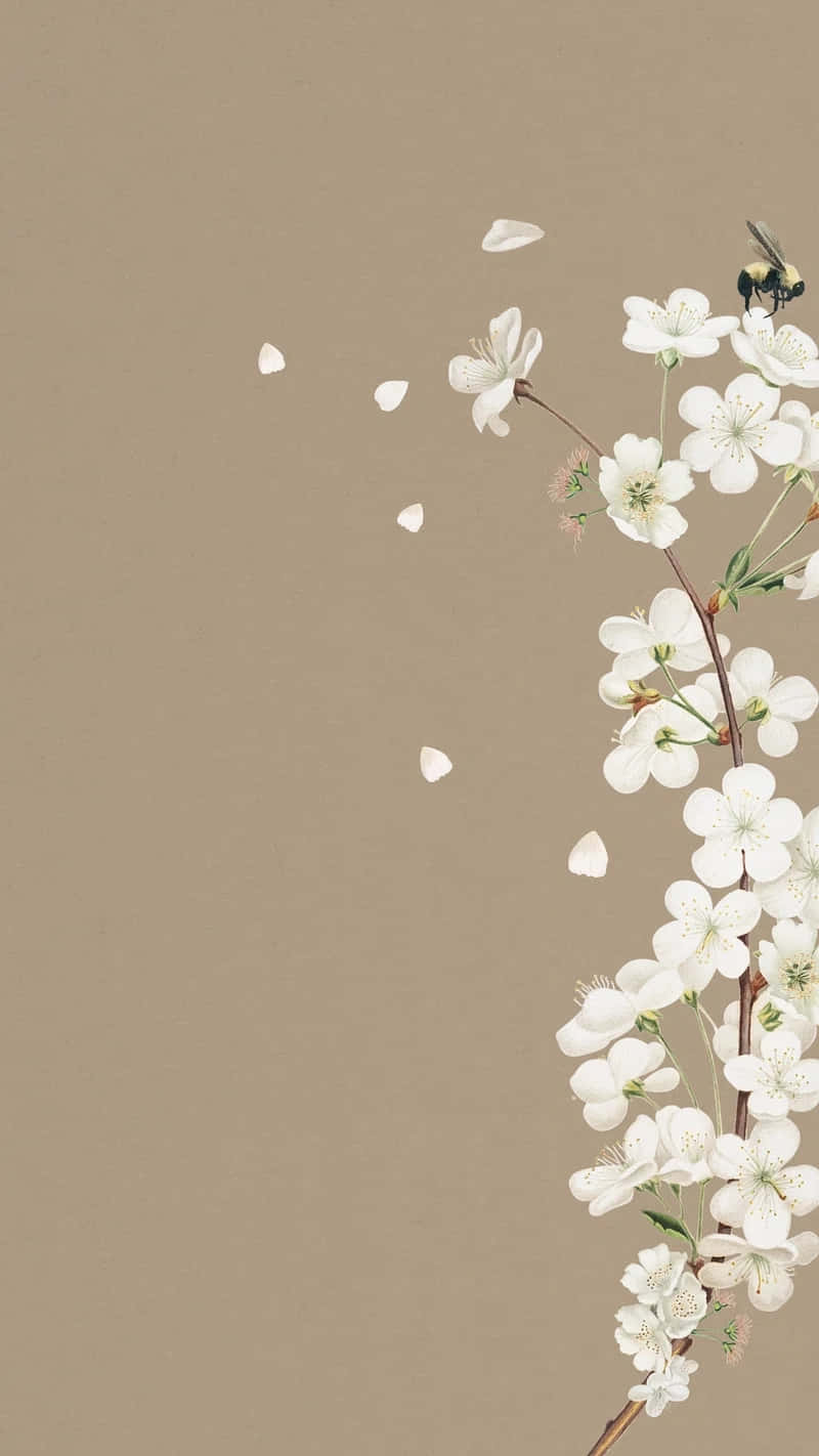 white cherry blossoms, falling petals, bee, HD Phone Wallpaper
