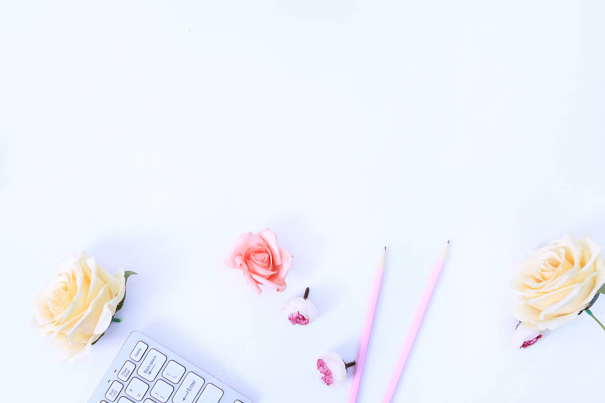 Minimalist Flower Computer, pastel pink, cream, SD Desktop Wallpaper