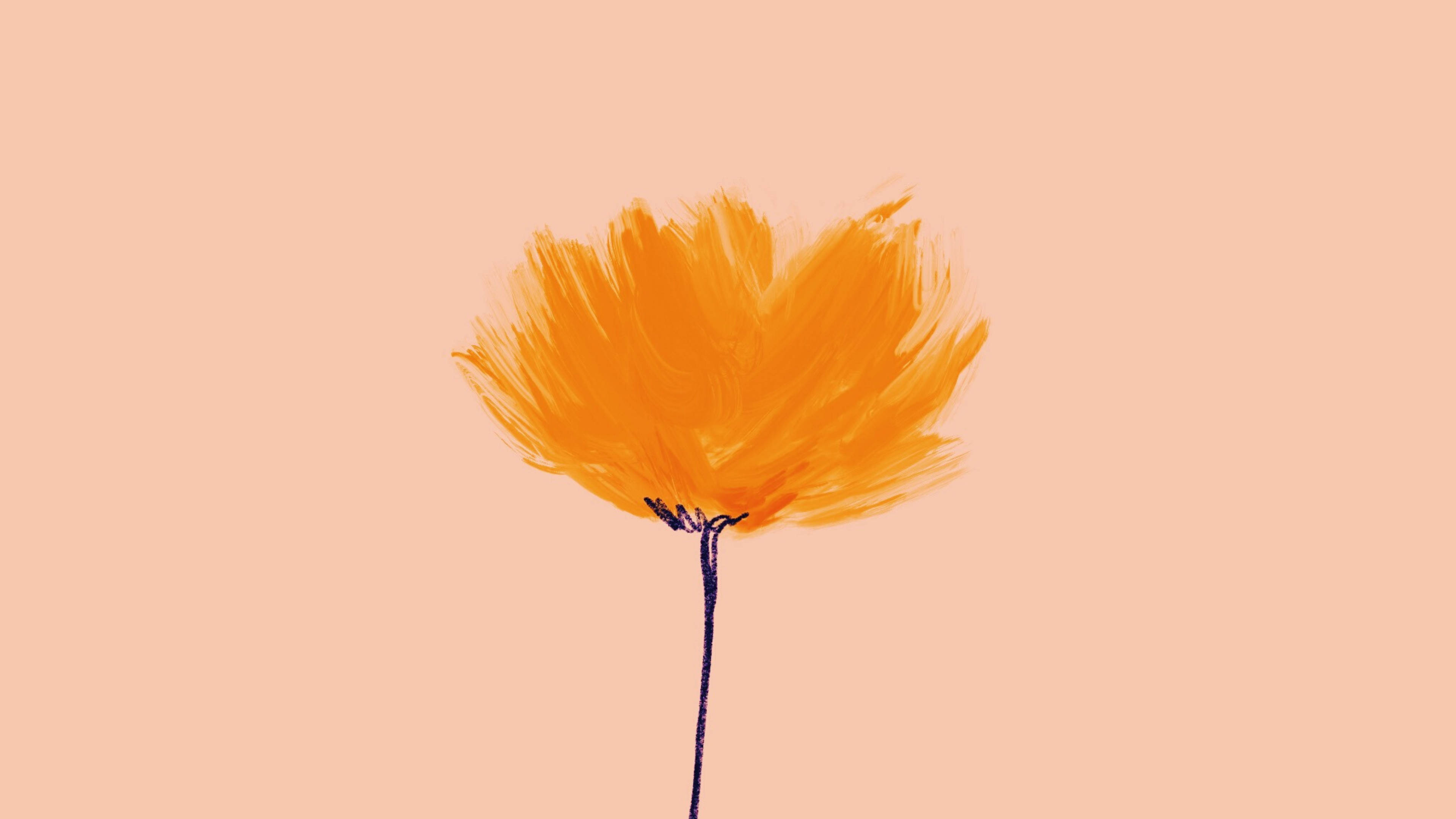 minimalist flower computer, orange, textured brushstrokes, 4K Desktop Wallpaper