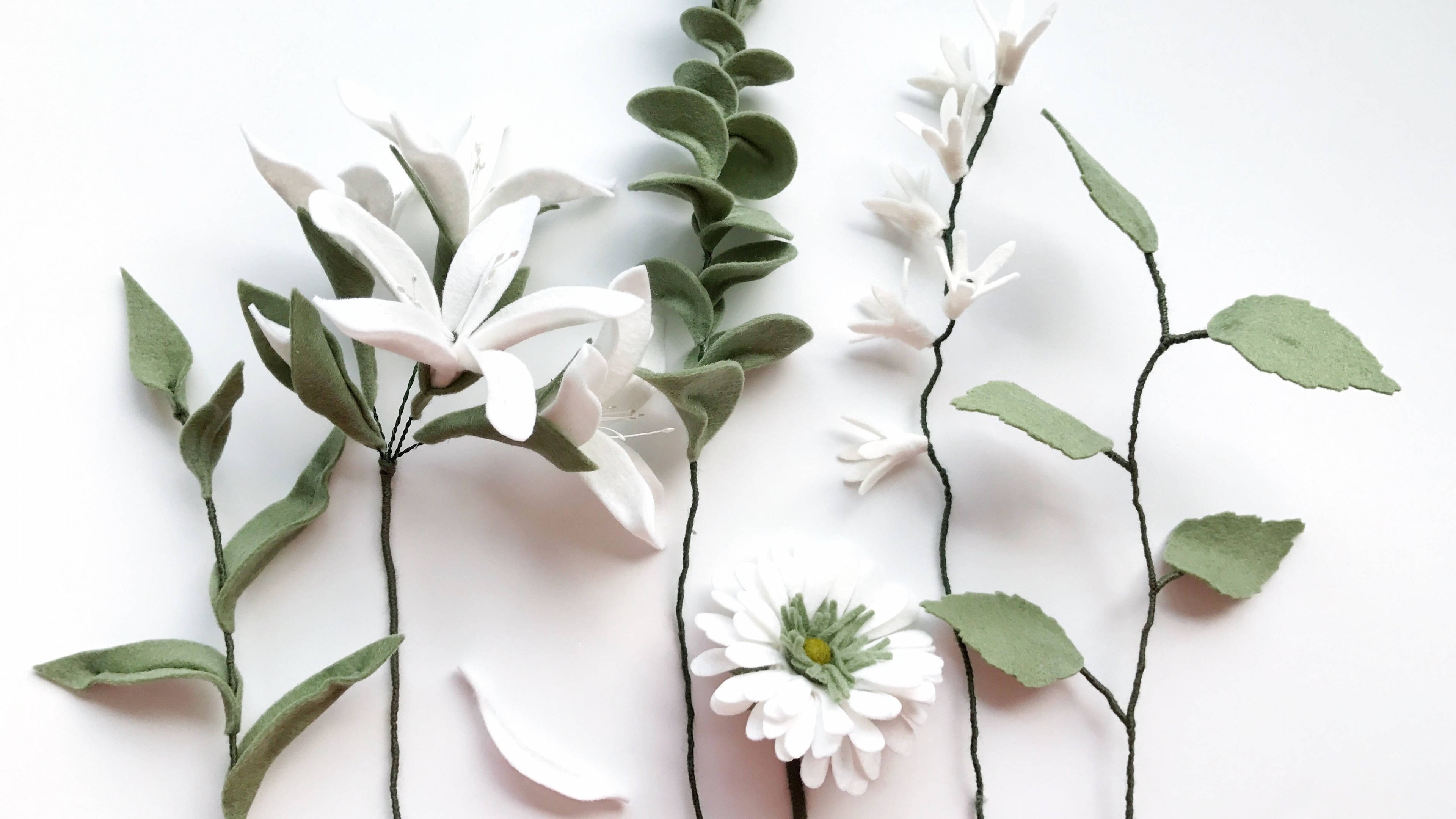 minimalist flower computer, white felt flowers, green leaves, 4K Desktop Wallpaper
