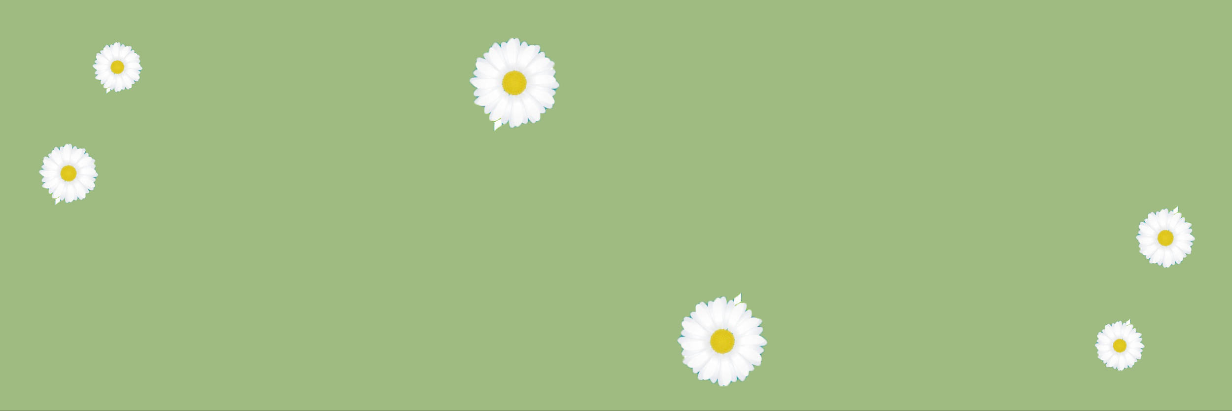 minimalist flower computer, white daisies, yellow centers, Full HD Desktop Wallpaper