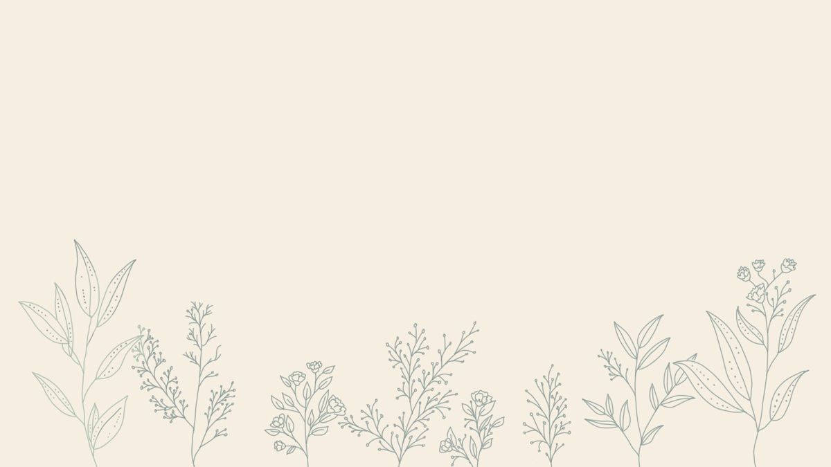 minimalist flower computer, beige background, soft gray, SD Desktop Wallpaper