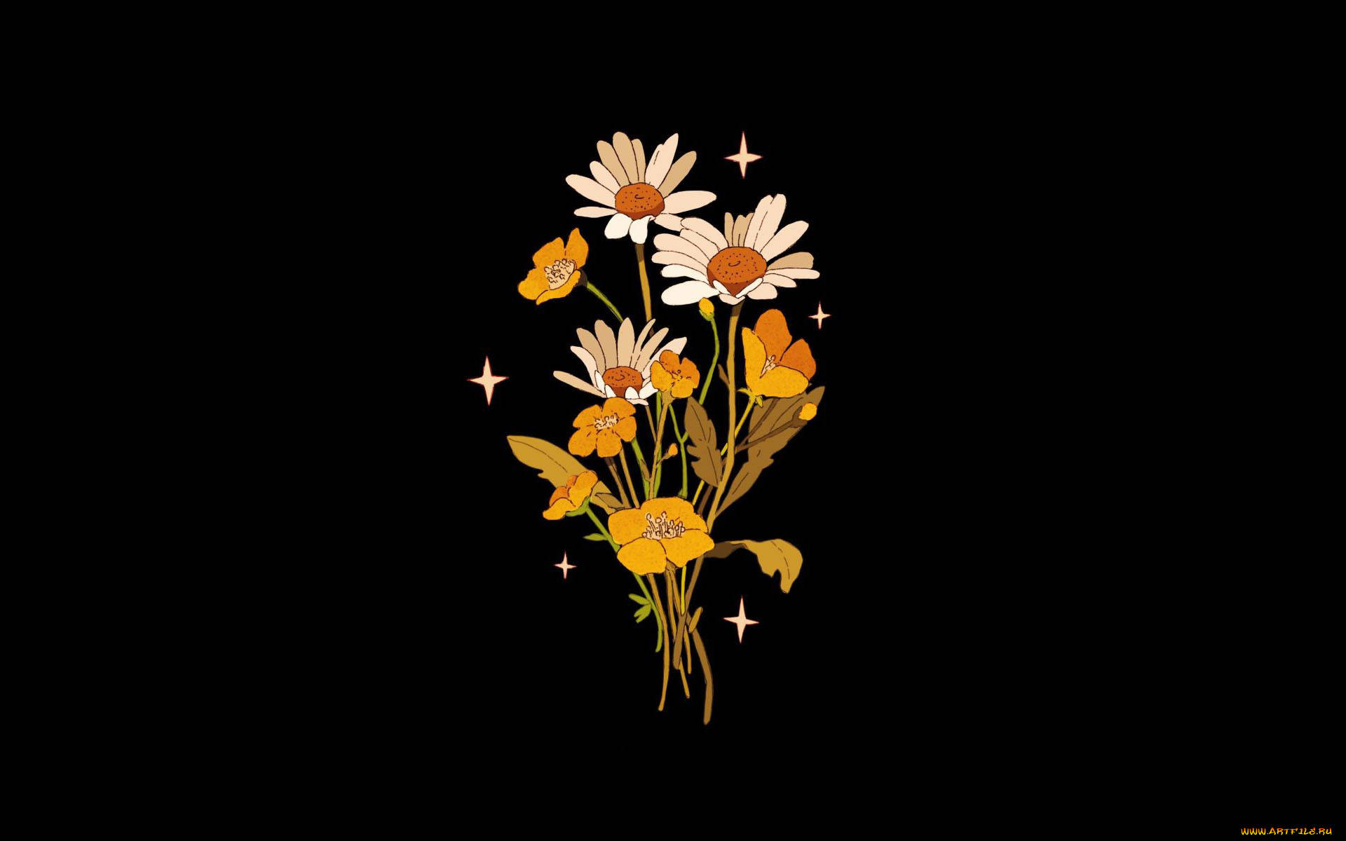 minimalist flower computer, daisies, poppies, Full HD Desktop Wallpaper