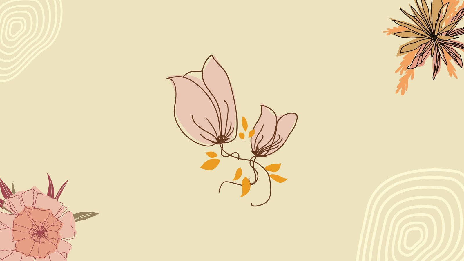 minimalist flower computer, soft pinks, oranges, HD Desktop Wallpaper