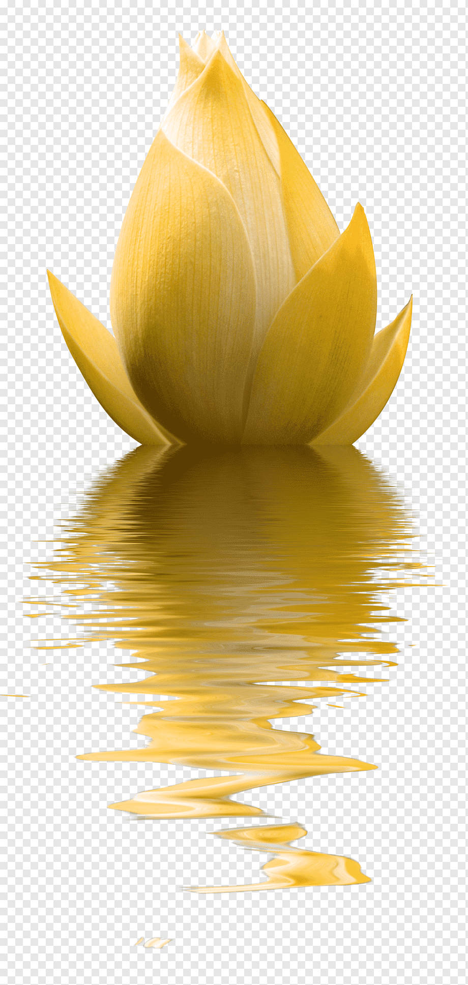 Minimalist Flower Computer, golden lotus bud, rippling water, Full HD Phone Wallpaper