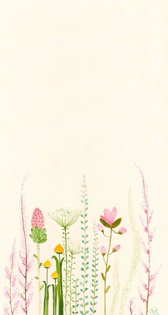 minimalist flower, watercolor wildflowers, soft pinks, HD Phone Wallpaper