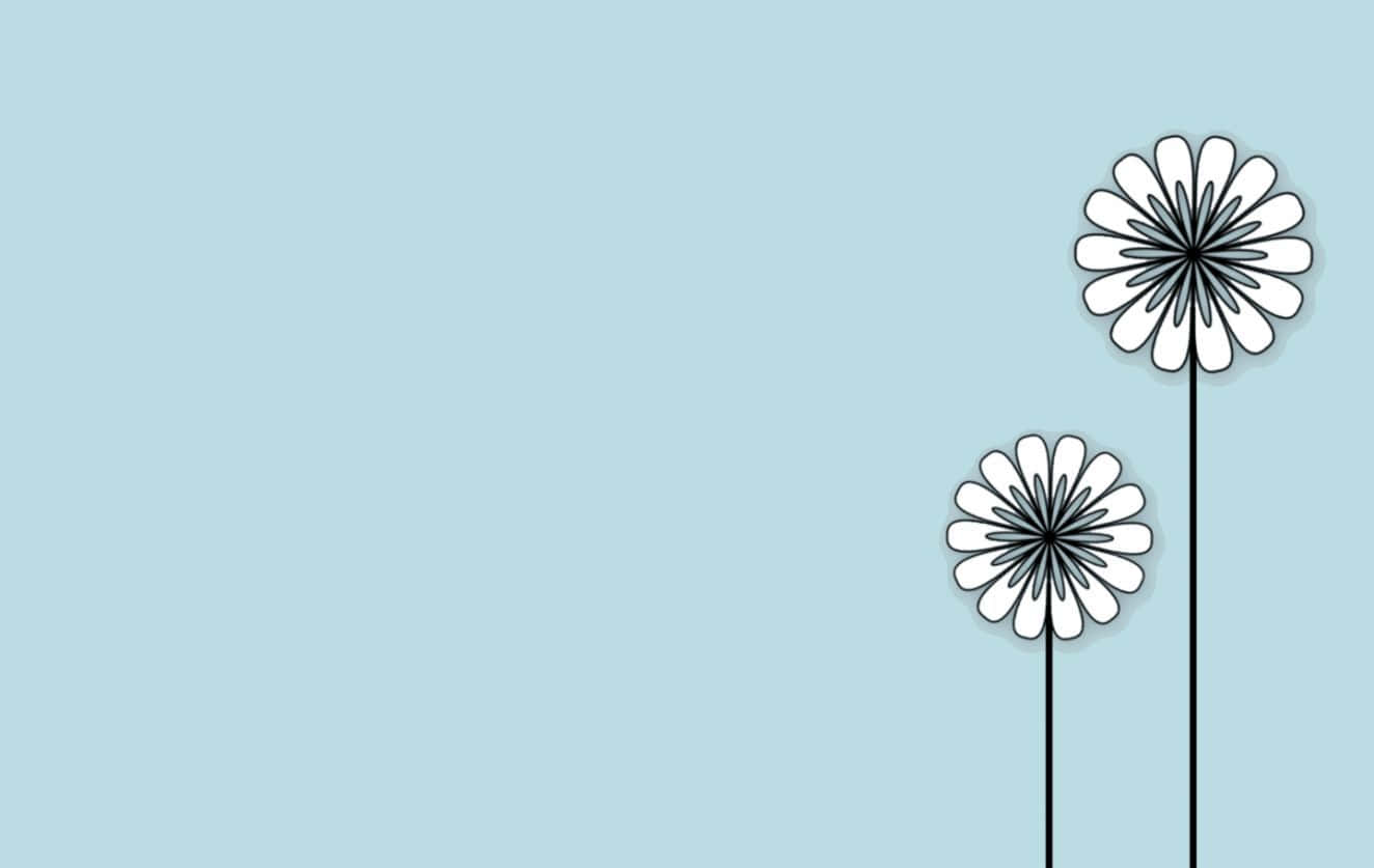 minimalist daisy flower art, white daisies, black stems, HD Desktop Wallpaper