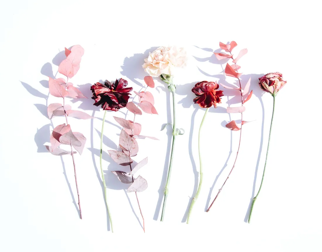 Minimalist Flower