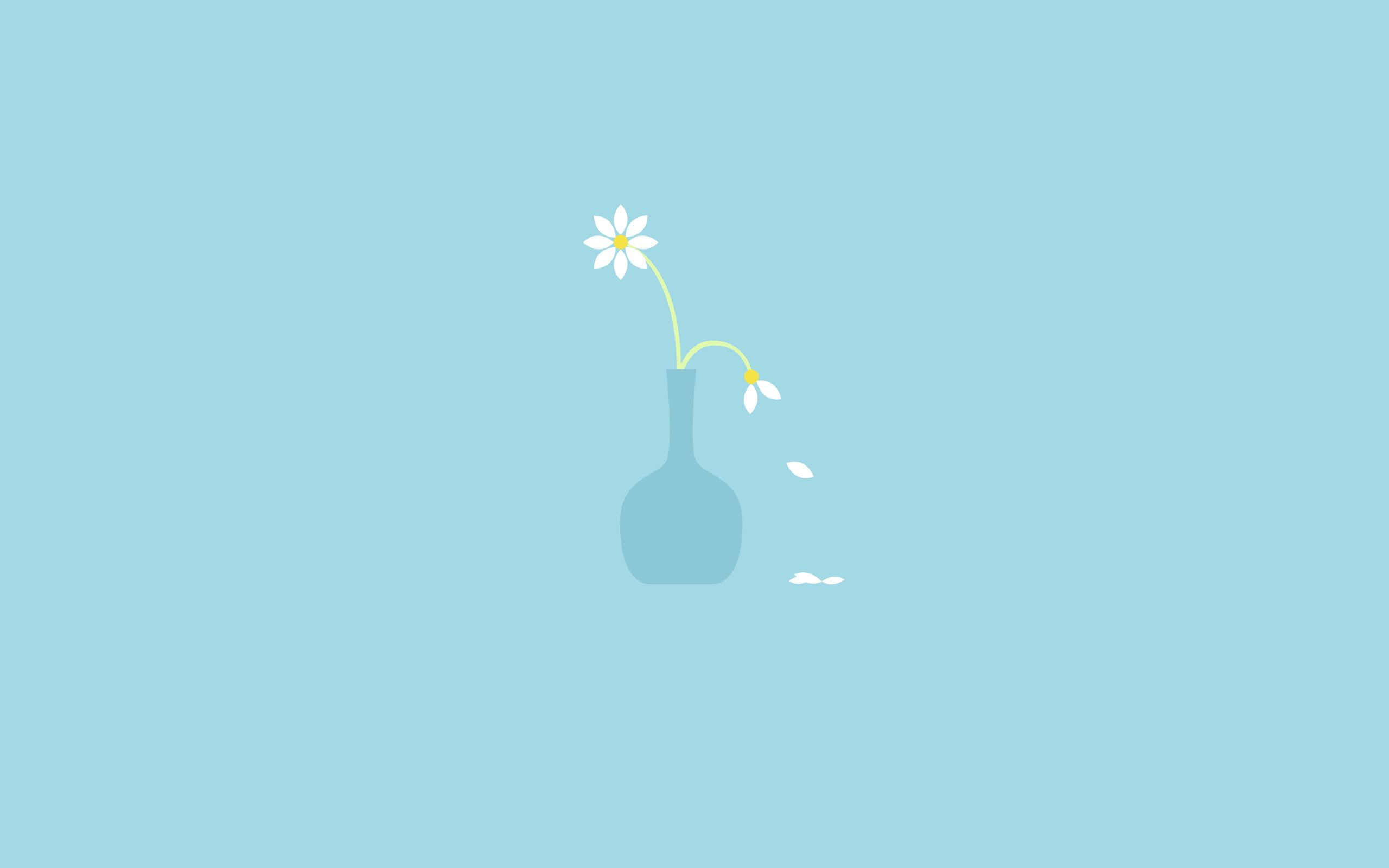 minimalist flower, daisy, blue vase, 2K Desktop Wallpaper