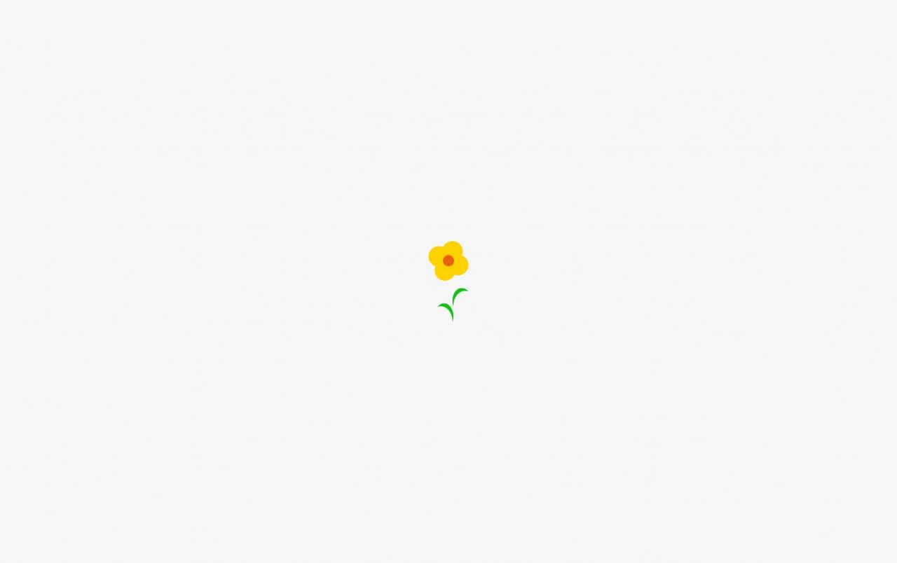 minimalist flower, yellow flower, green stem, HD Desktop Wallpaper