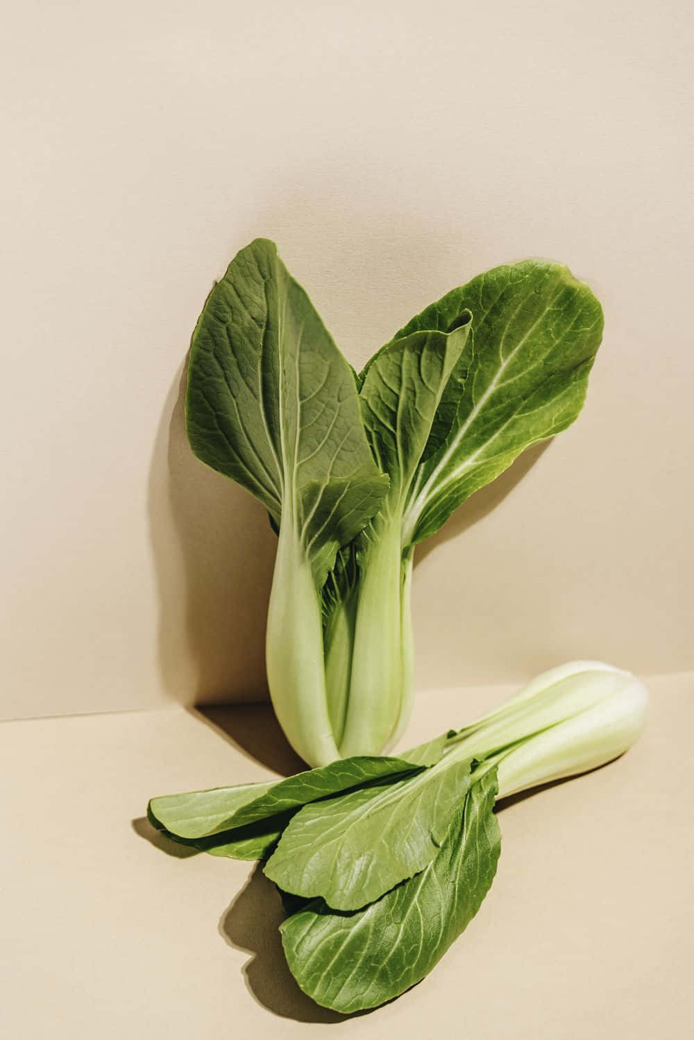 Minimalist Deconstructed Salad, bok choy, vibrant green leaves, HD Phone Wallpaper