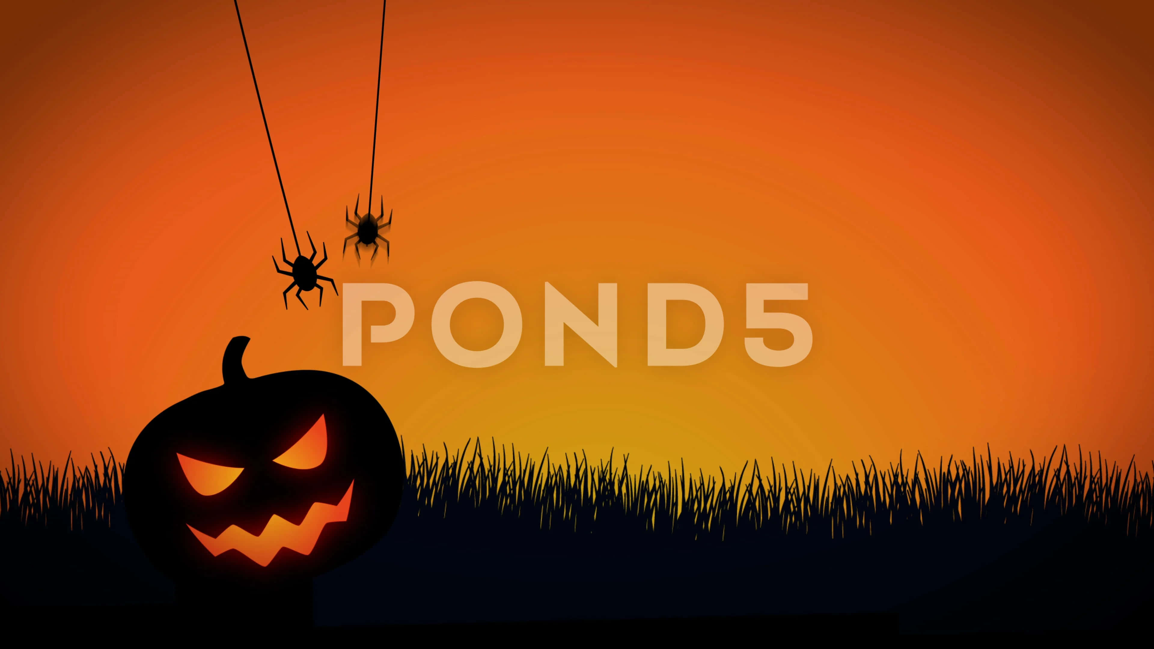jack-o'-lantern, spiders, webs, 4K Desktop Wallpaper