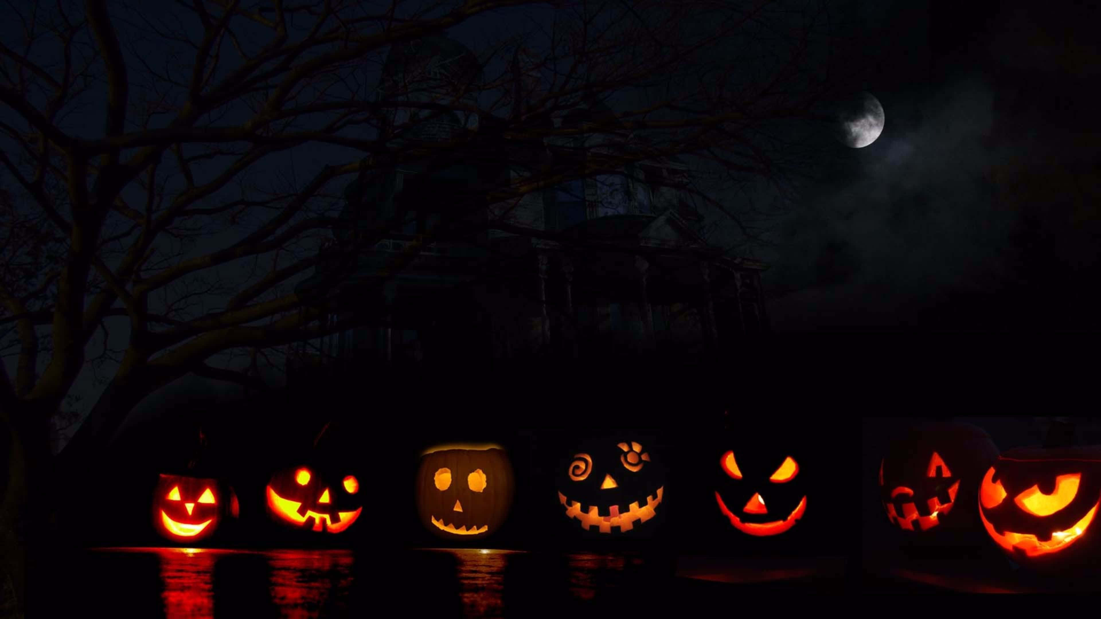 jack-o'-lanterns, moonlit sky, dark path, 4K Desktop Wallpaper