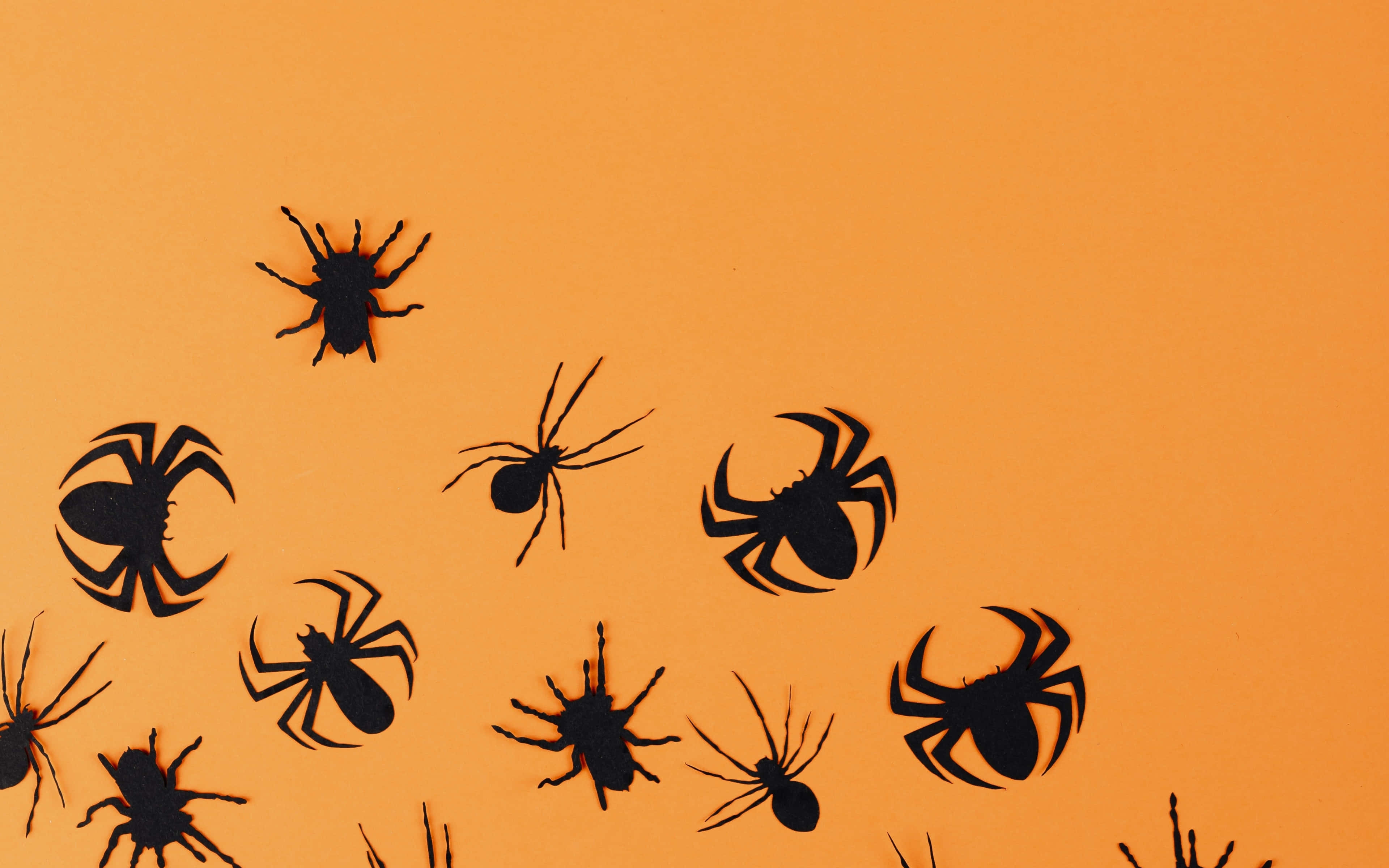 Minimalist Halloween, black paper-cut spider silhouettes, vibrant orange background, 4K Desktop Wallpaper