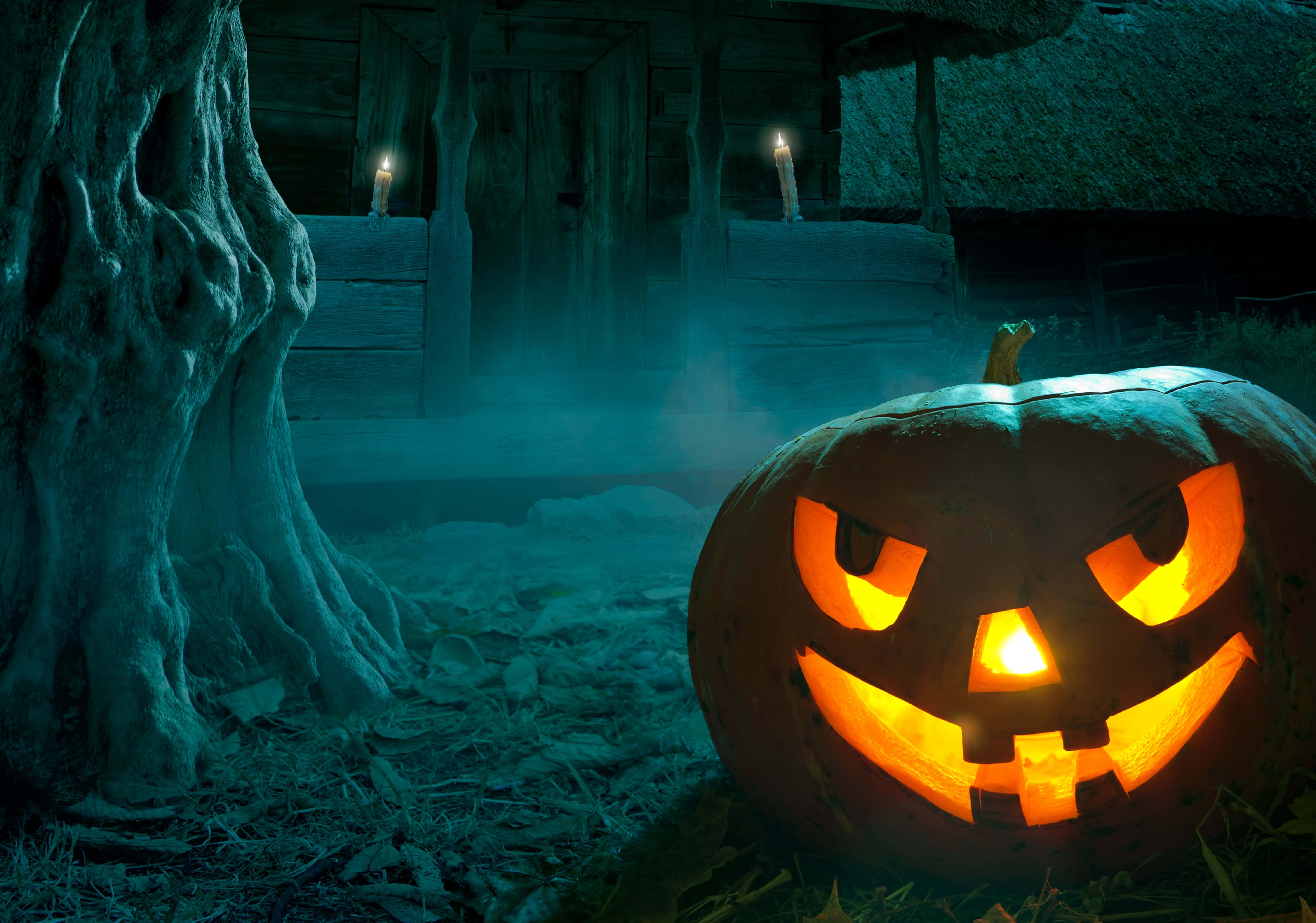 jack-o'-lantern, misty forest clearing, gnarled tree, 5K Desktop Wallpaper