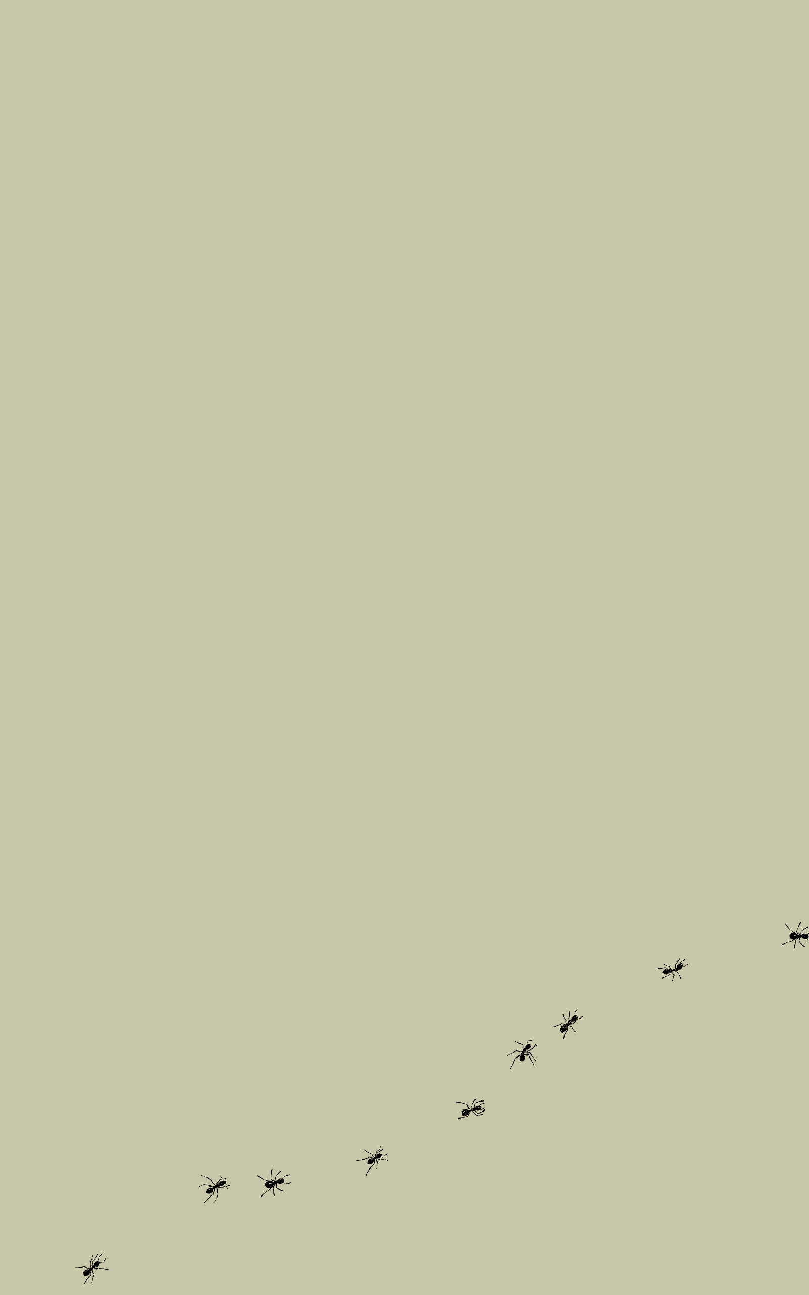 ants, minimalist silhouette, black ants, 2K Phone Wallpaper