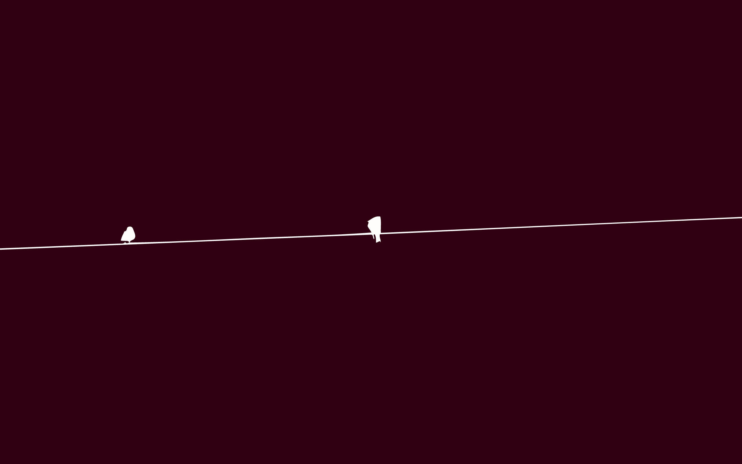 birds on wire, minimalist white birds, thin wire, 2K Desktop Wallpaper