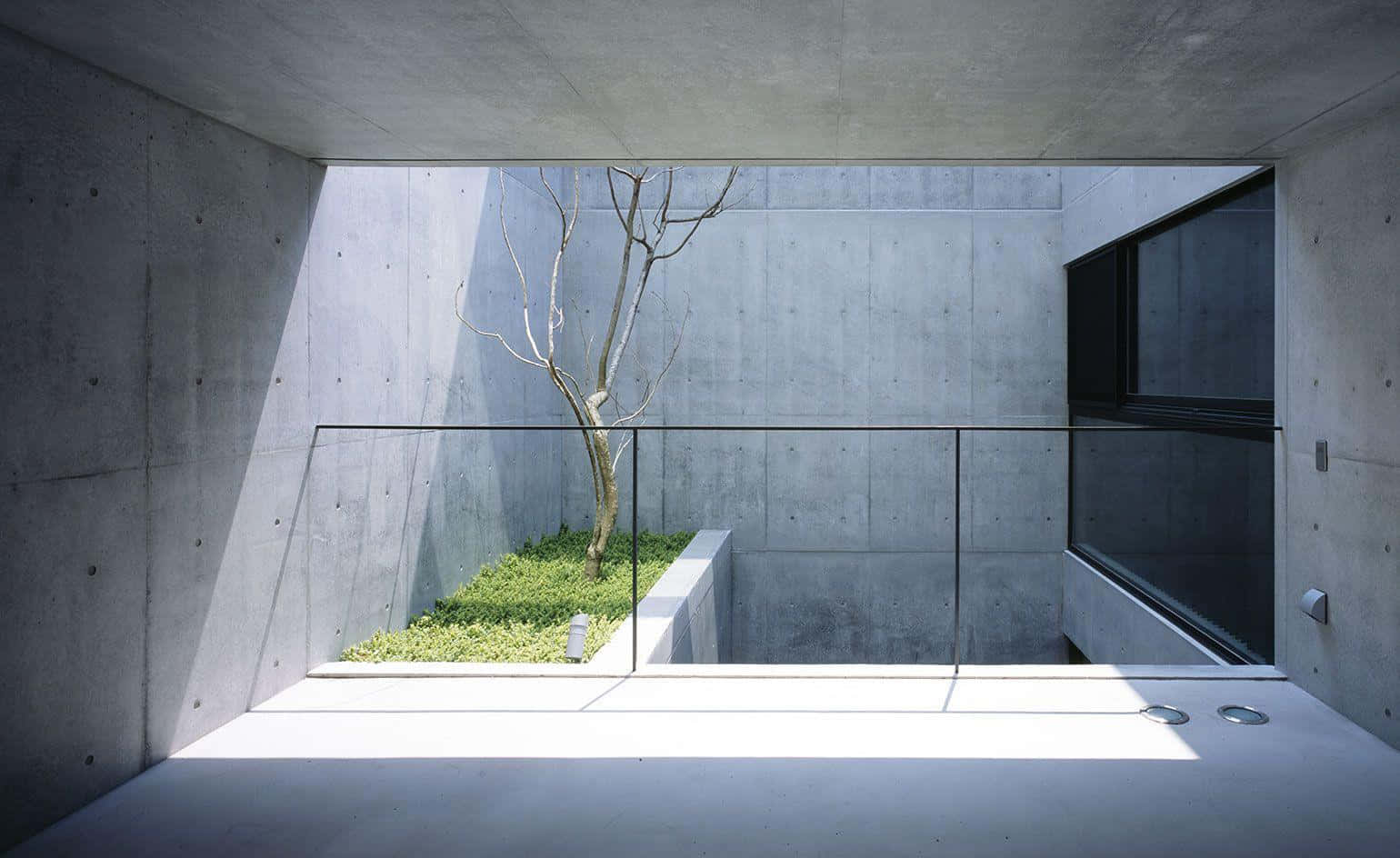 minimalist architecture, concrete courtyard, bare tree, HD Desktop Wallpaper