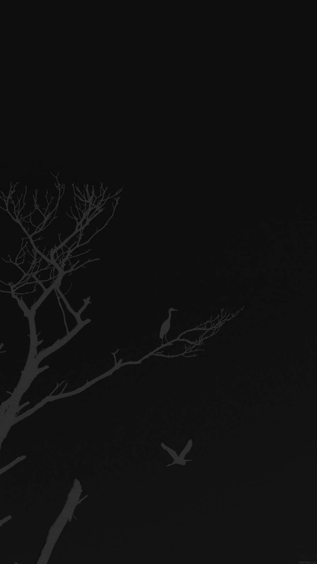 minimalist monochrome, black night sky, bare tree branch, Full HD Phone Wallpaper