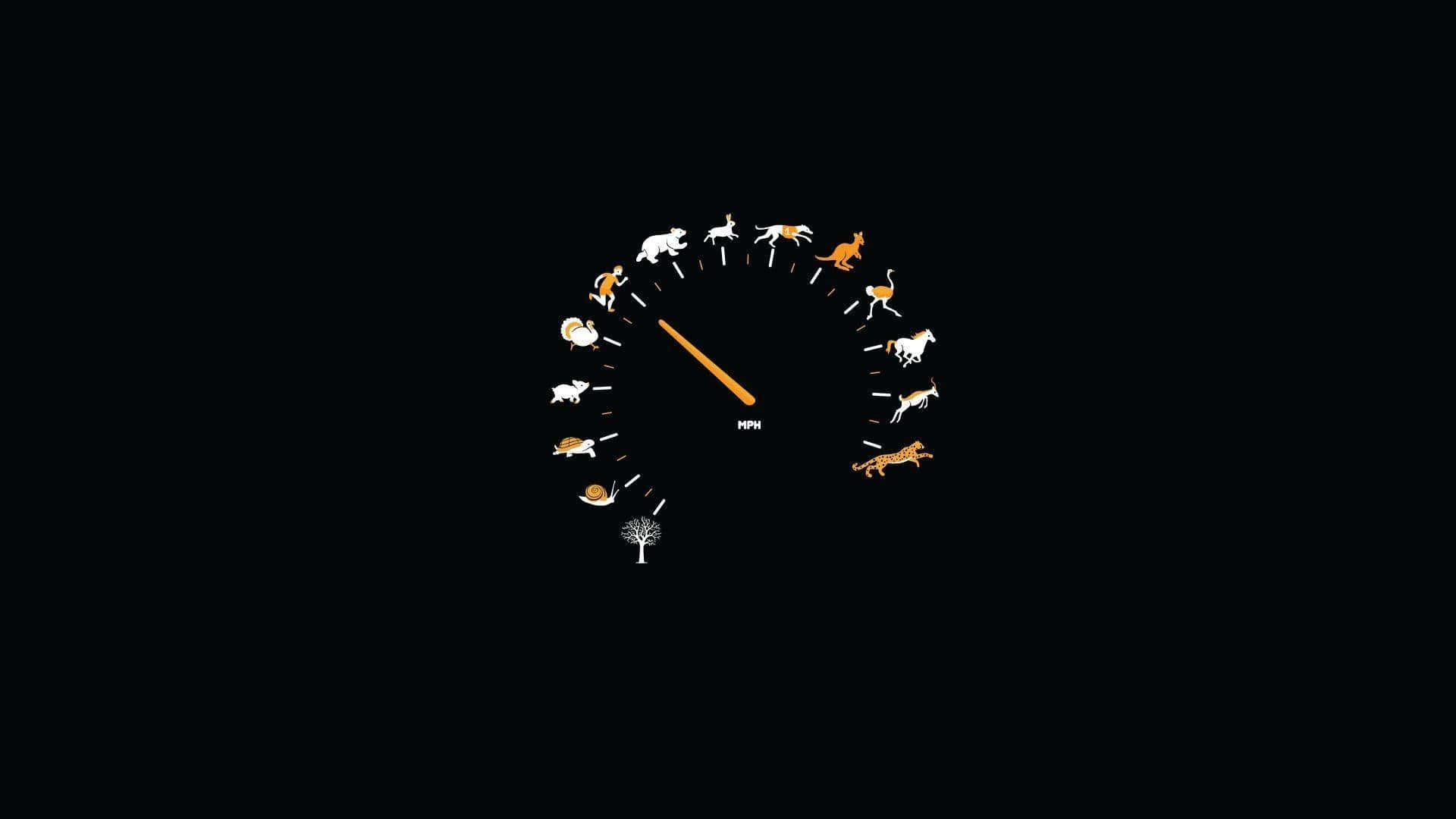 1920 x 1080, minimalist speedometer, animal icons, Full HD Desktop Wallpaper
