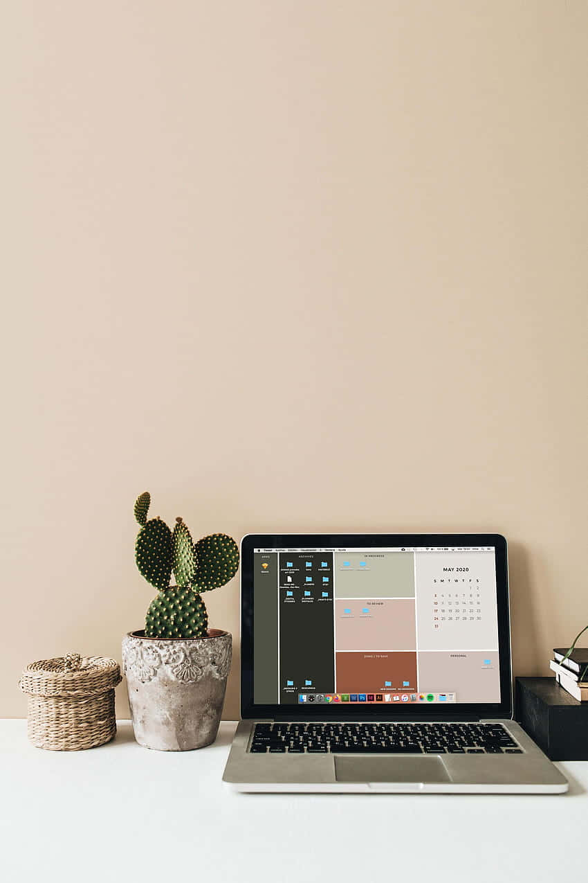 silver laptop, white desk, potted cactus, SD Phone Wallpaper
