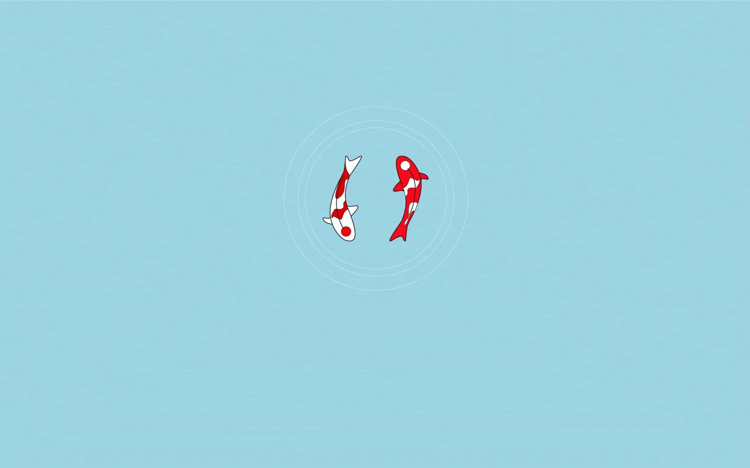 red and white koi fish, concentric circles, soft blue background, 2K Desktop Wallpaper