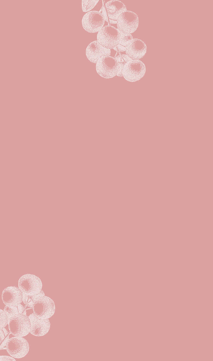 pastel pink, soft pink background, delicate white line drawings, HD Phone Wallpaper