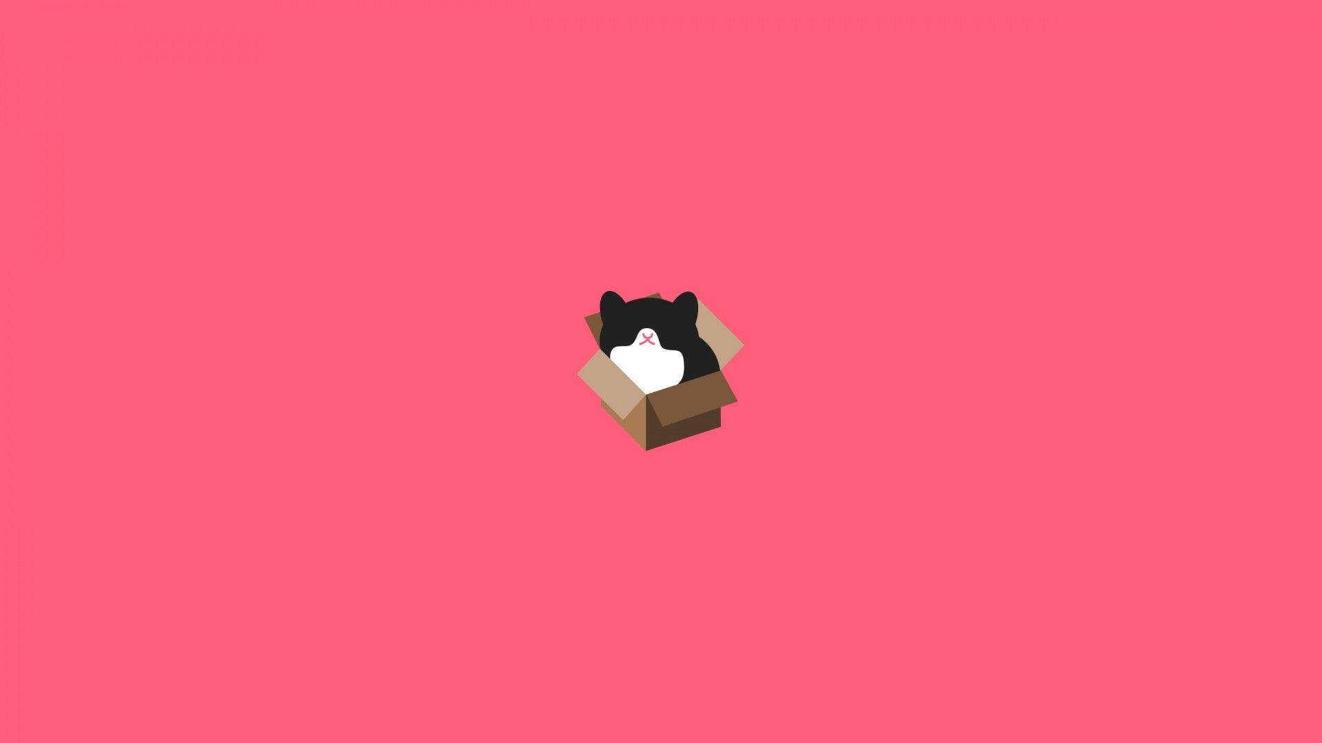 minimalist cat, pastel box art, black and white cat, Full HD Desktop Wallpaper