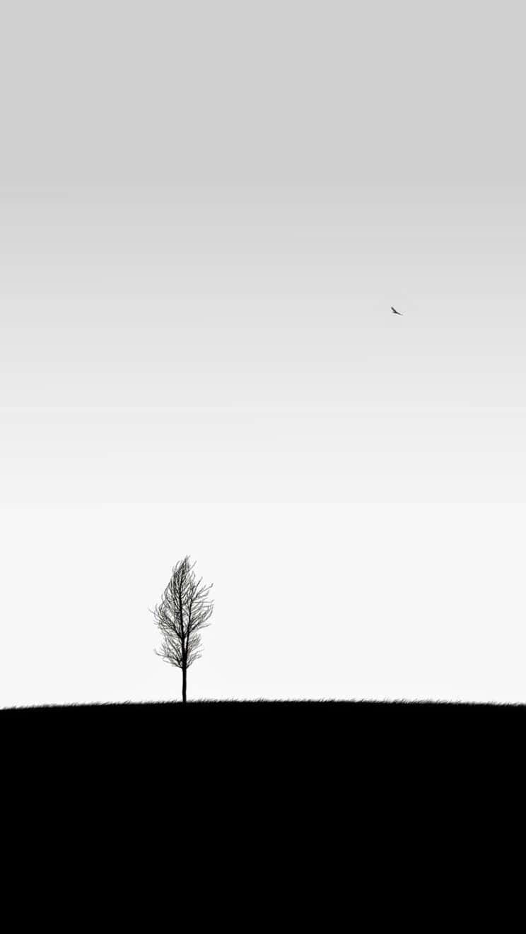 minimalist black and white, bare tree, dark hill, HD Phone Wallpaper