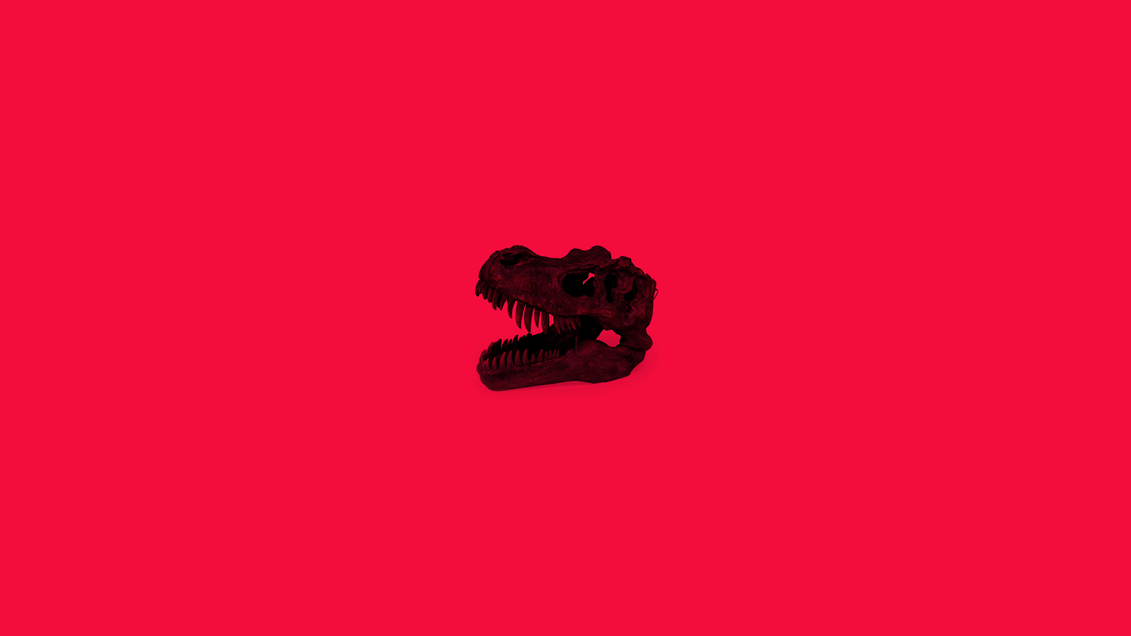 black dinosaur skull, vivid red background, minimalist aesthetic, 4K Desktop Wallpaper