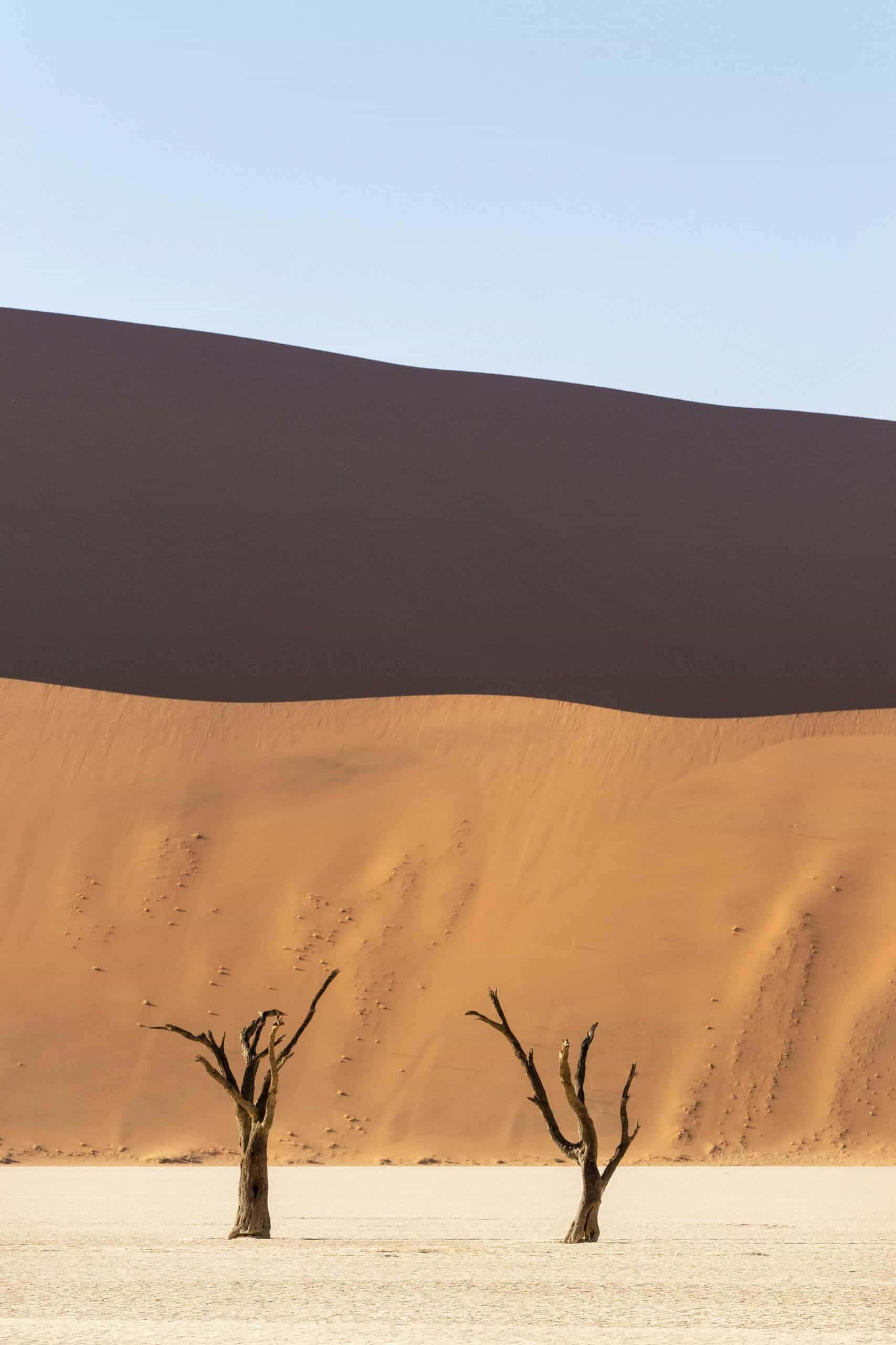 minimalist photography, white salt pan, orange sand dunes, 2K Phone Wallpaper
