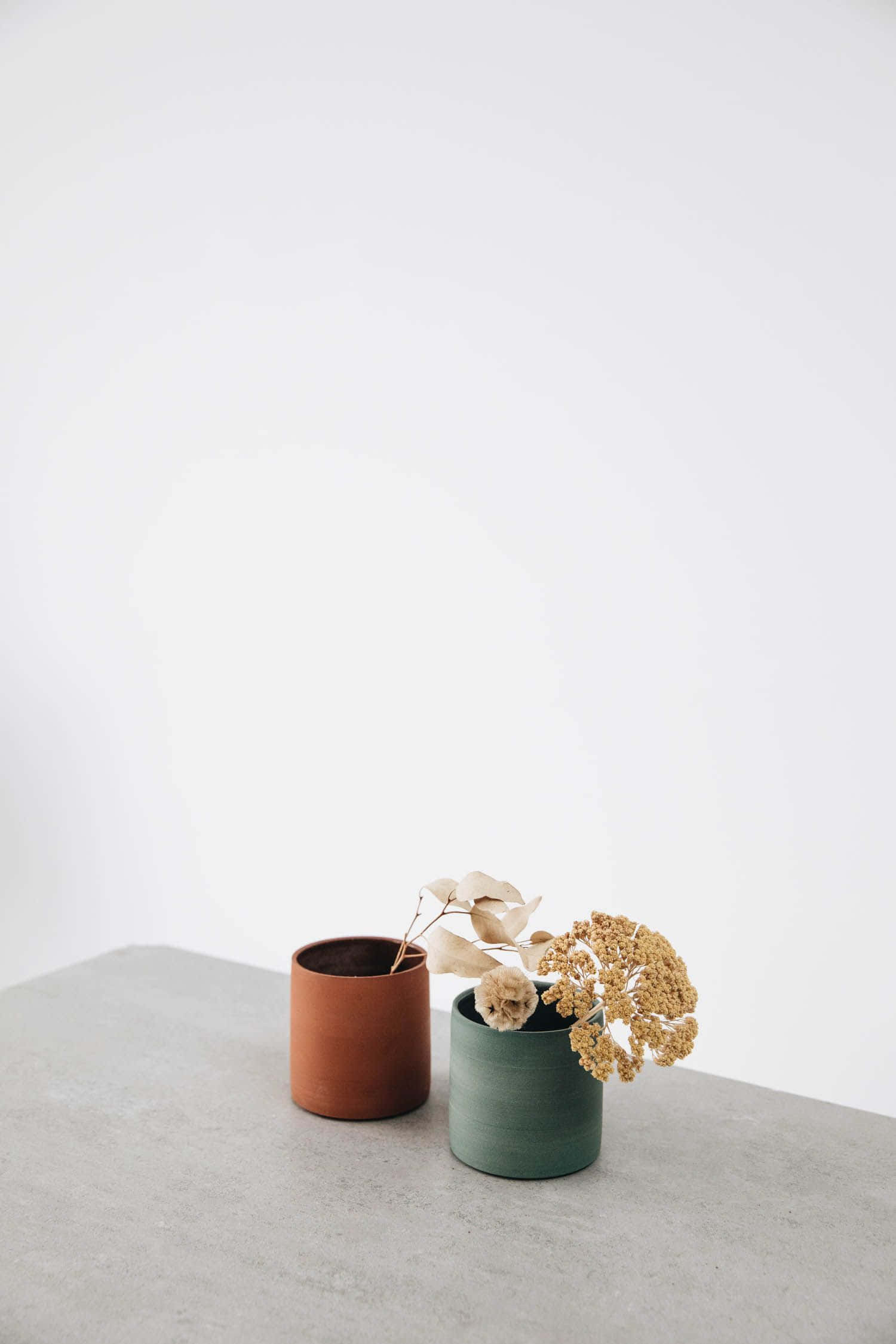 minimalist ceramic pots, dried flowers, concrete surface, Full HD Phone Wallpaper