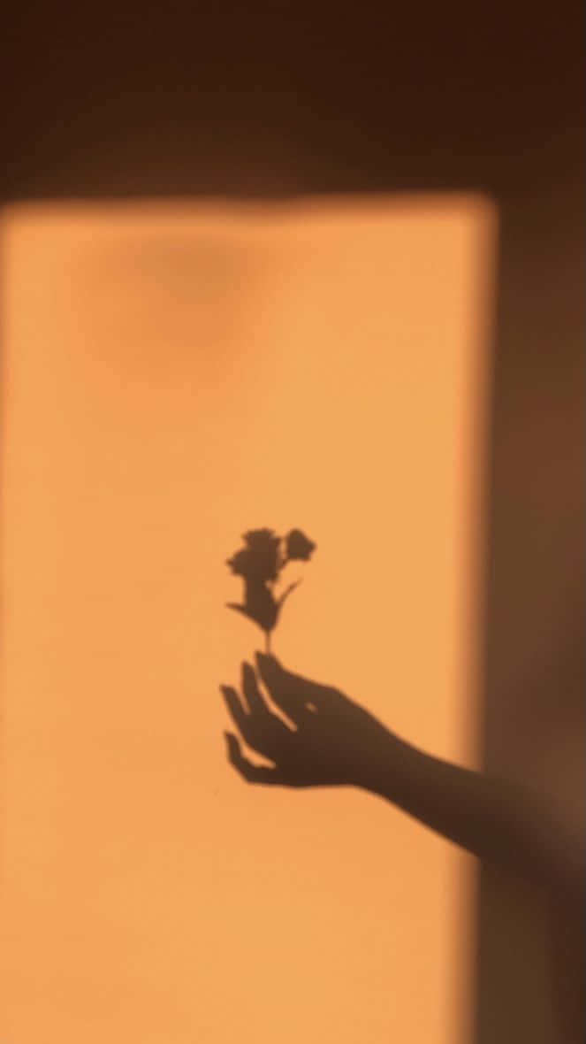 minimalist photography, skyscraper, rose, SD Phone Wallpaper