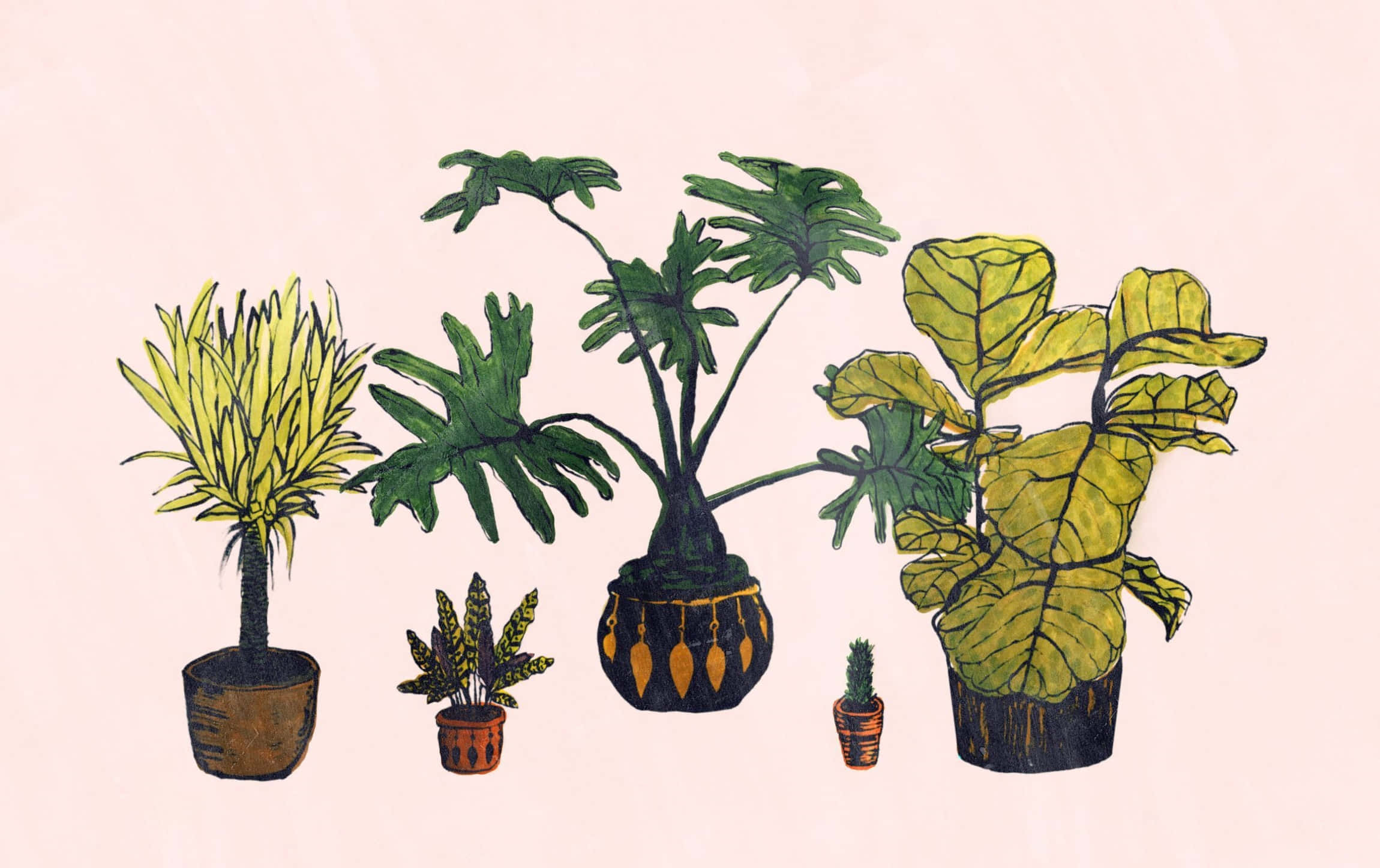 minimalist plant desktop, watercolor, potted plants, Full HD Desktop Wallpaper