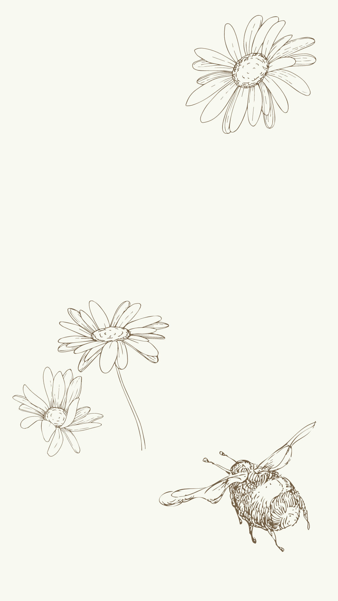 minimalist plant, bee, daisies, Full HD Phone Wallpaper